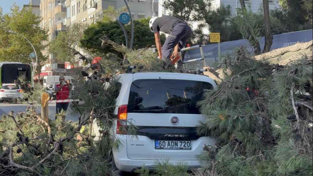 Kocaeli'de korkutan olay: Aracıyla düz yolda giderken üzerine ağaç devrildi! - 3. Resim