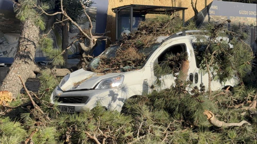 Kocaeli'de korkutan olay: Aracıyla düz yolda giderken üzerine ağaç devrildi! - 4. Resim