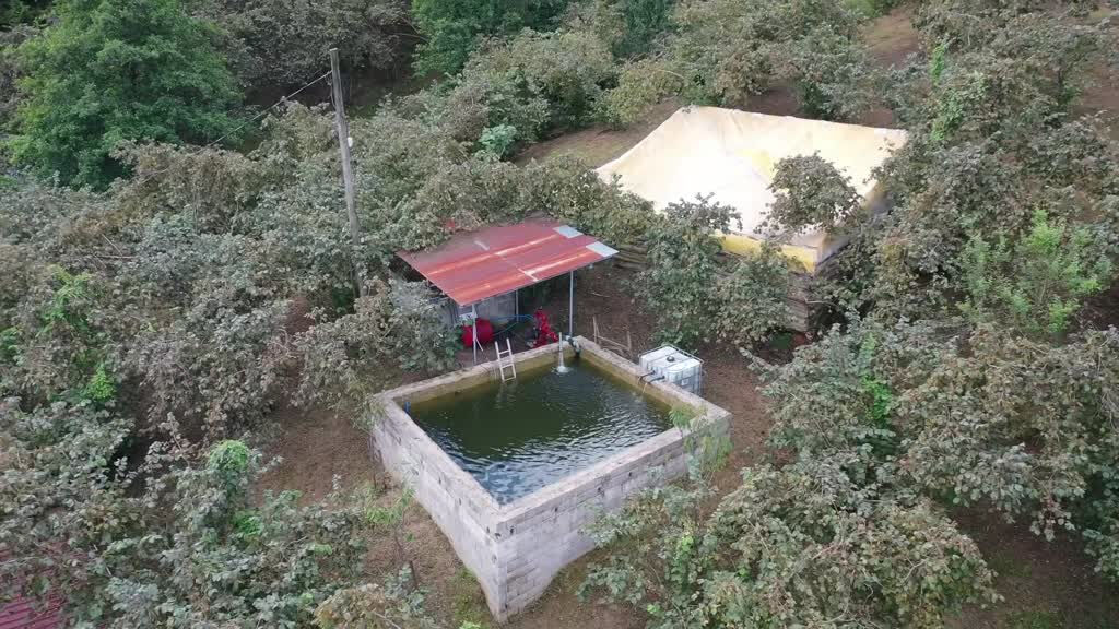 Tarlasına kurduğu sistemle verimi artırdı! Artık 2 kat fazla para kazanıyor - 4. Resim