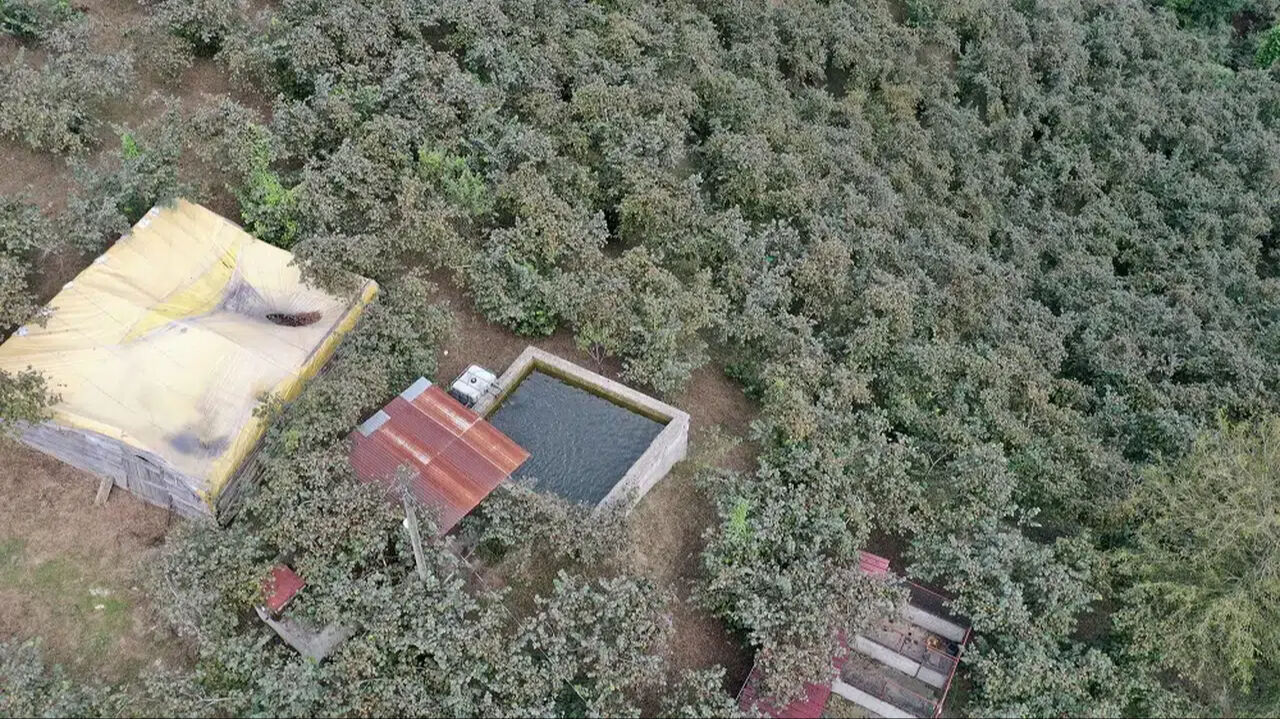 Tarlasına kurduğu sistemle verimi artırdı! Artık 2 kat fazla para kazanıyor - 2. Resim