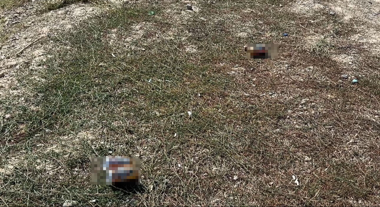 Utanç verici görüntüler! Mezarlığın dibine alkol şişesi bıraktılar, mahalleli tepkili - 2. Resim