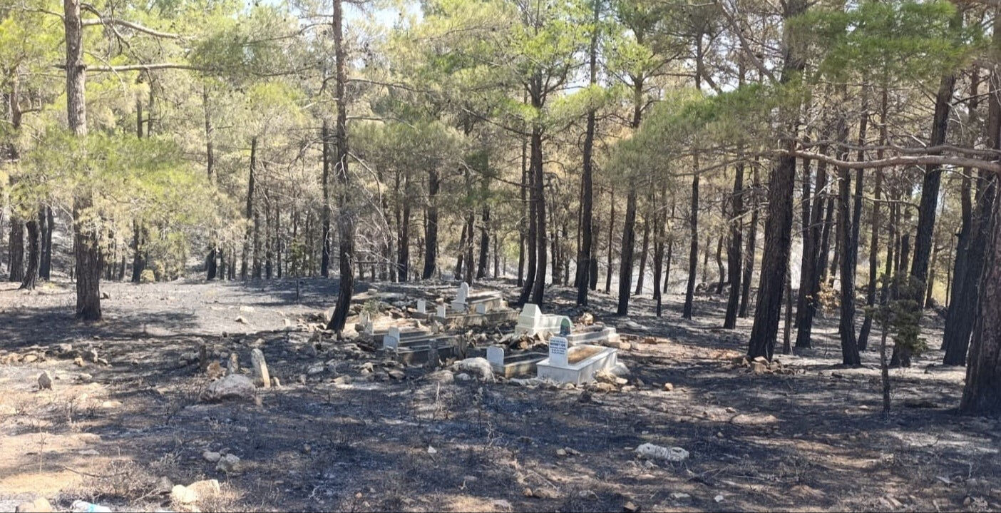 Yangın 3 gündür söndürülemiyor! Alevler sadece onun kabrini yutmadı - 2. Resim