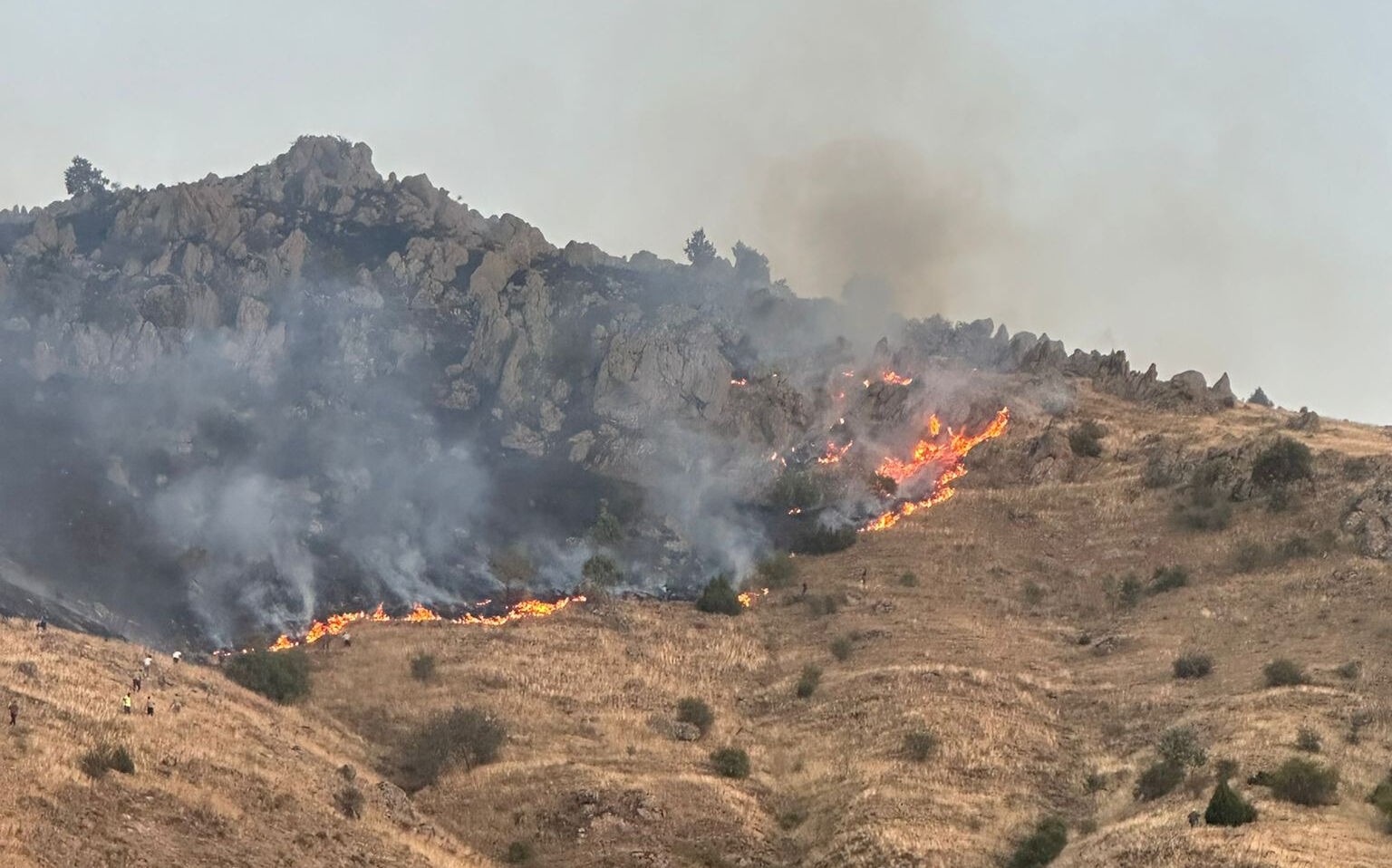 5 ilde ciğerlerimiz yanıyor! Büyük orman yangınının dumanı komşu kentin üzerini kapladı - 8. Resim