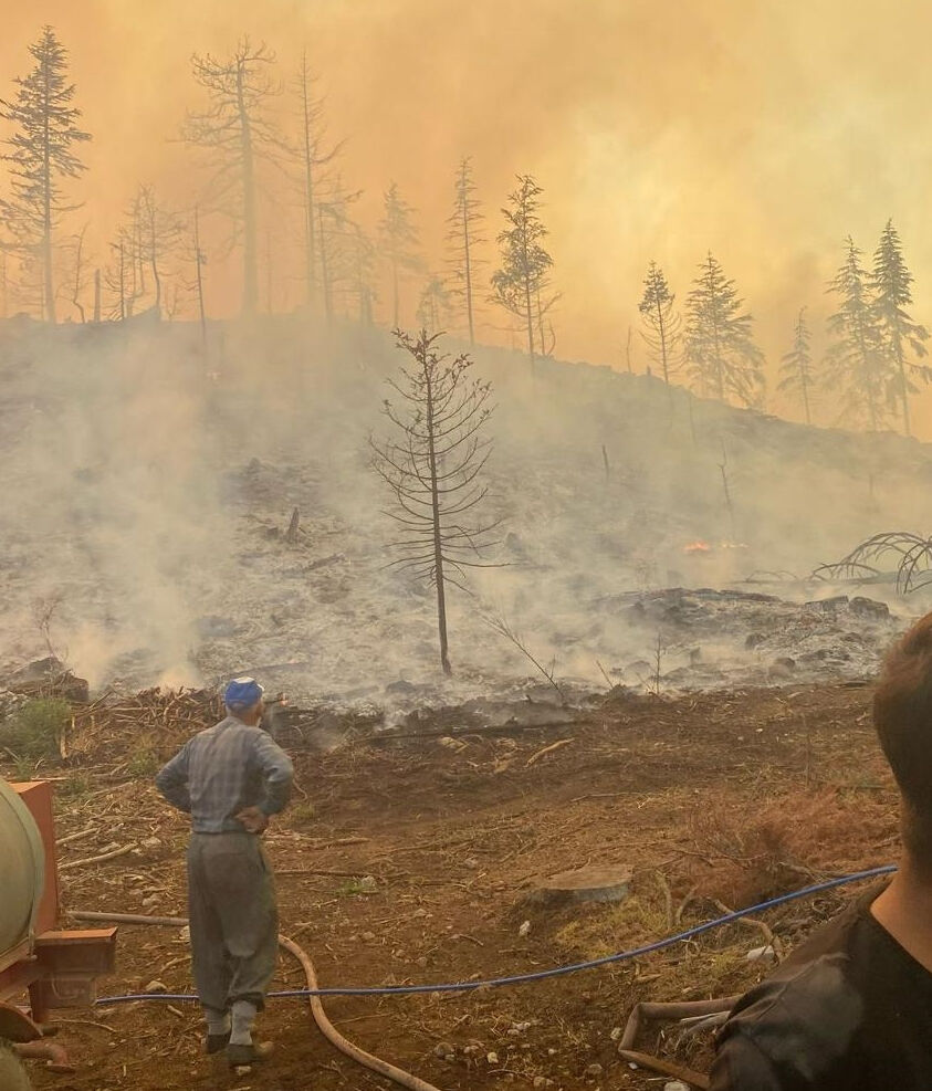 5 ilde ciğerlerimiz yanıyor! Büyük orman yangınının dumanı komşu kentin üzerini kapladı - 6. Resim