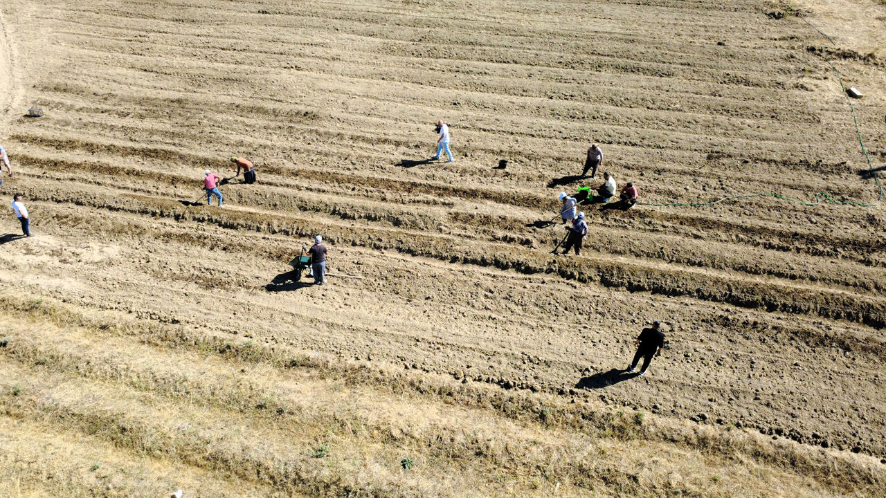 80 bin çiçekten sadece yarım kilo çıkıyor! 