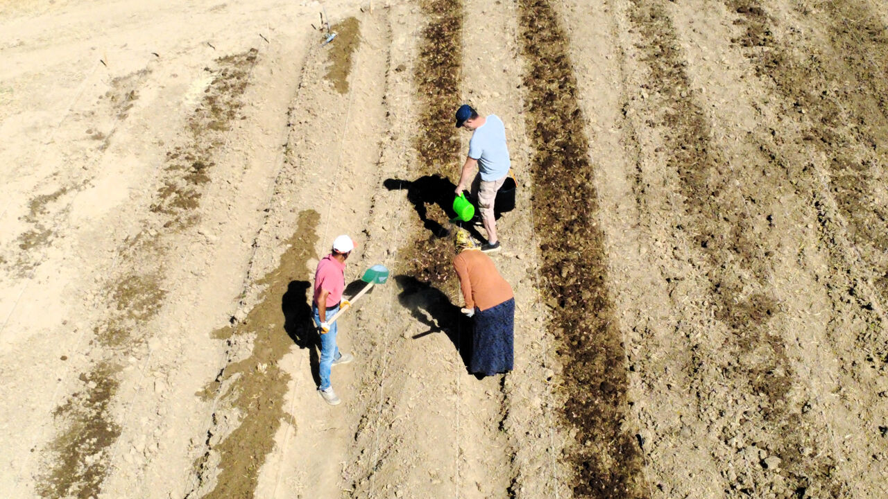 80 bin çiçekten sadece yarım kilo çıkıyor! 