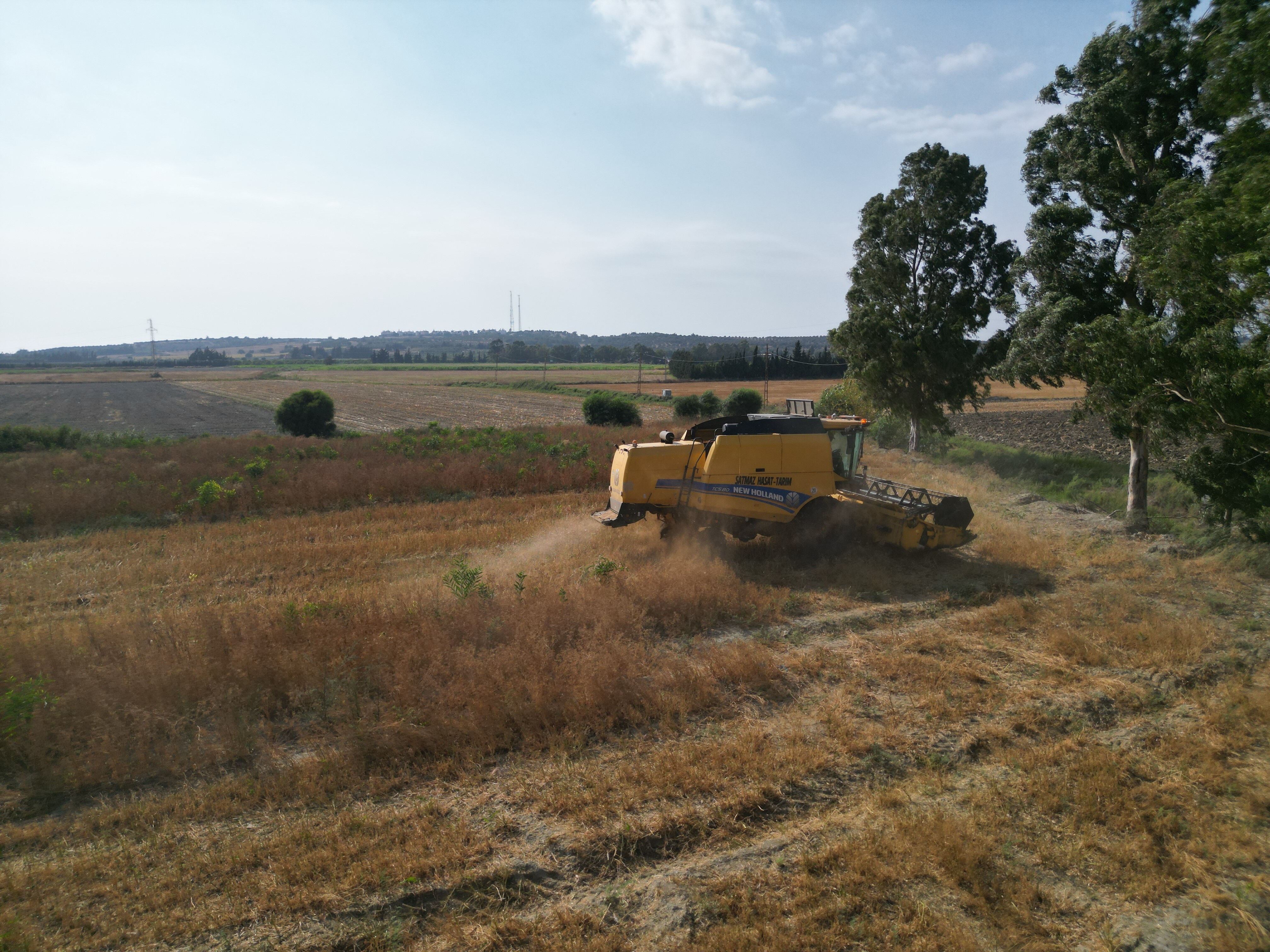 Ata tohumuyla üretiliyor, tarlada kilosu 100 TL! Türkiye'nin ihtiyacının yüzde 75'ini bu ilçe karşılıyor - 3. Resim