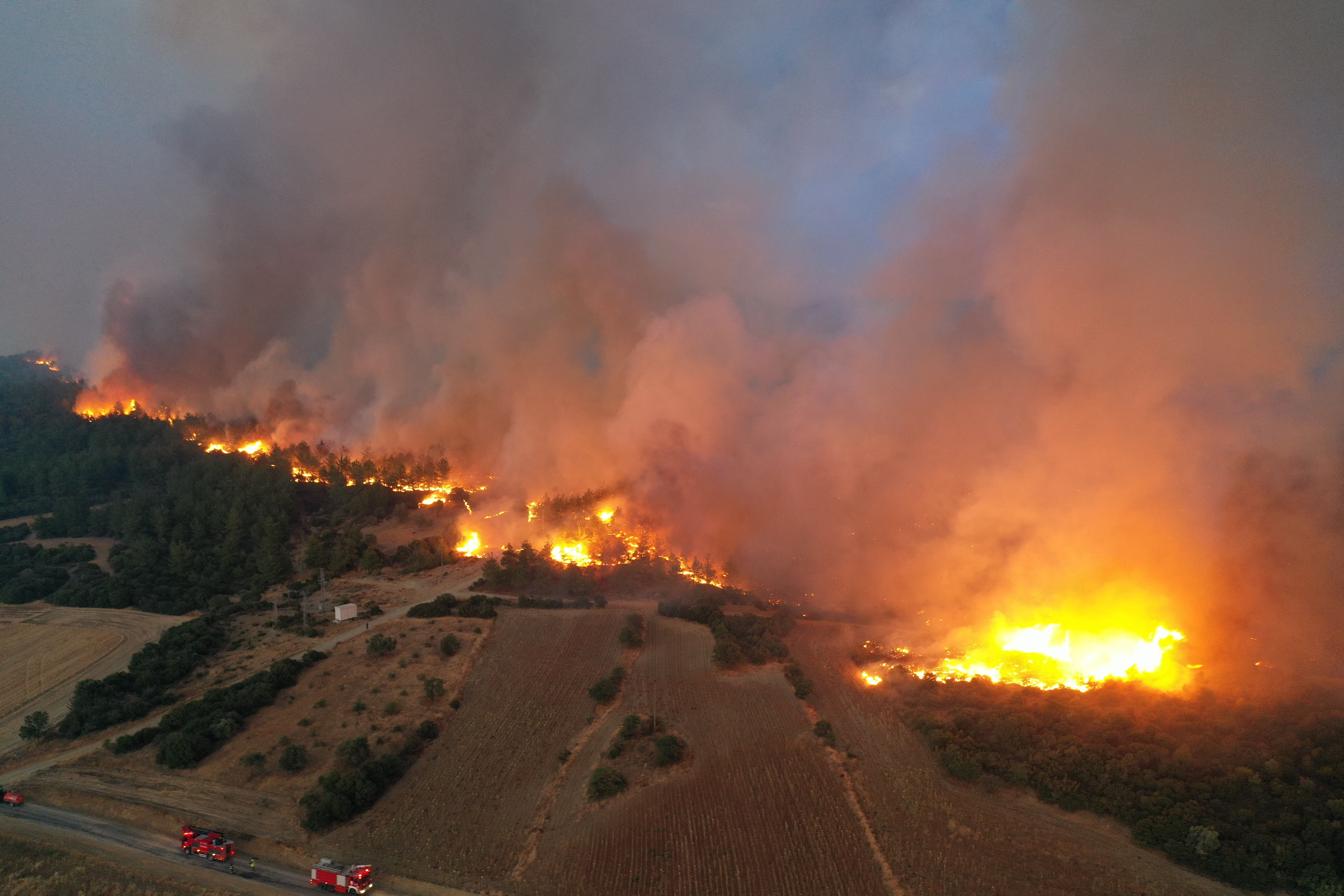 Çanakkale Gelibolu orman yangını son durum ne? - 2. Resim