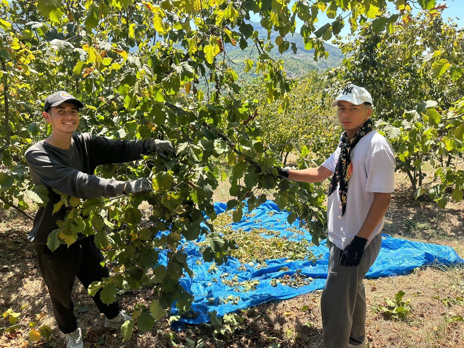 Fırsatçılığın bu kadarı! Tırpan fiyatları 1 ayda fırladı, üretici isyan etti - 2. Resim