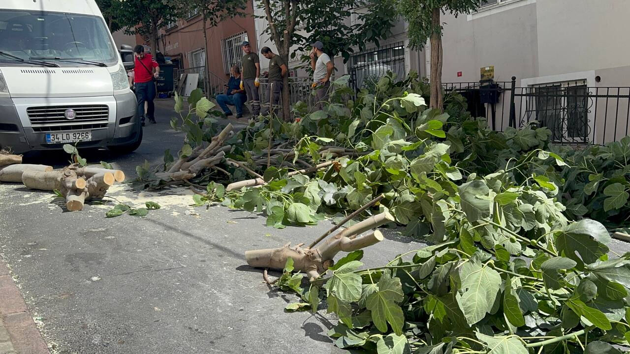 İstanbul'da fırtına! Ağaçlar devrildi, 2 kişi yaralandı - 1. Resim