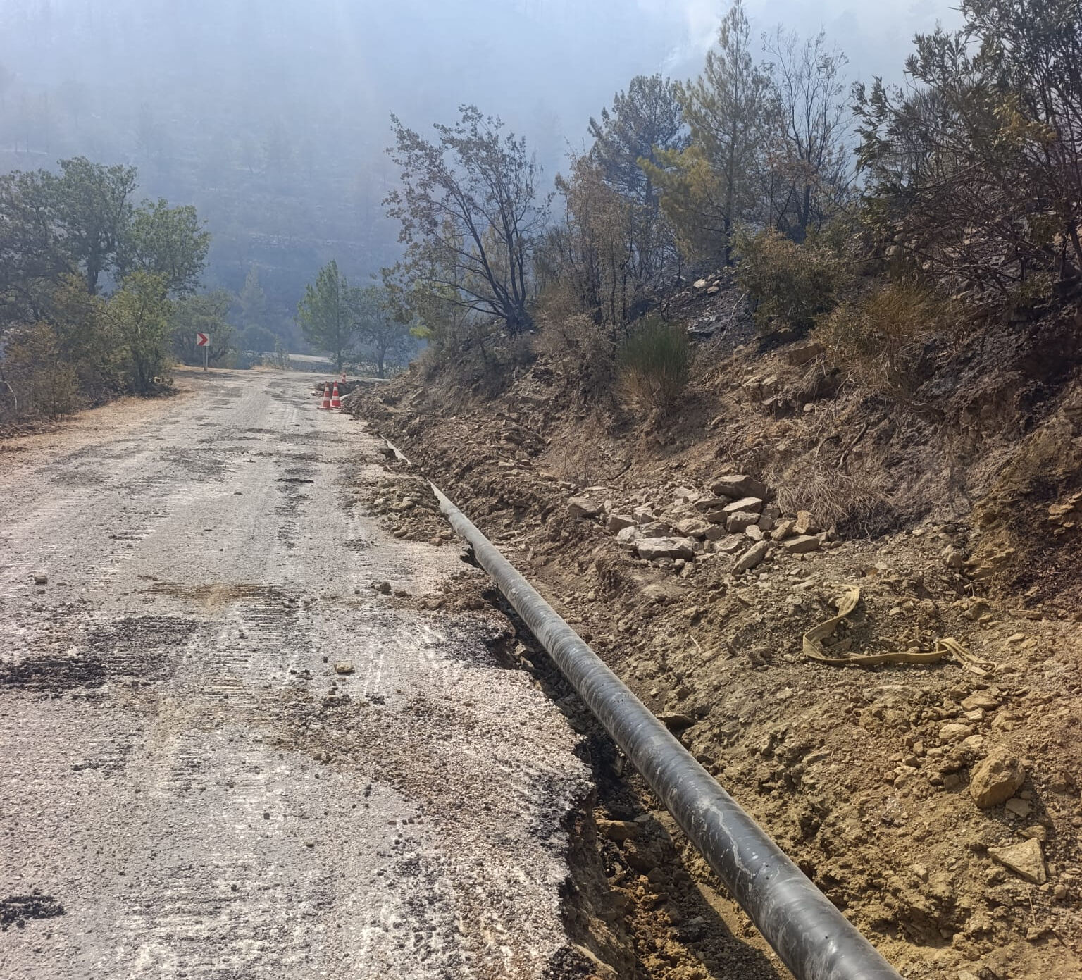 Mersin'deki orman yangınıyla ilgili 4 kişi tutuklandı - 1. Resim