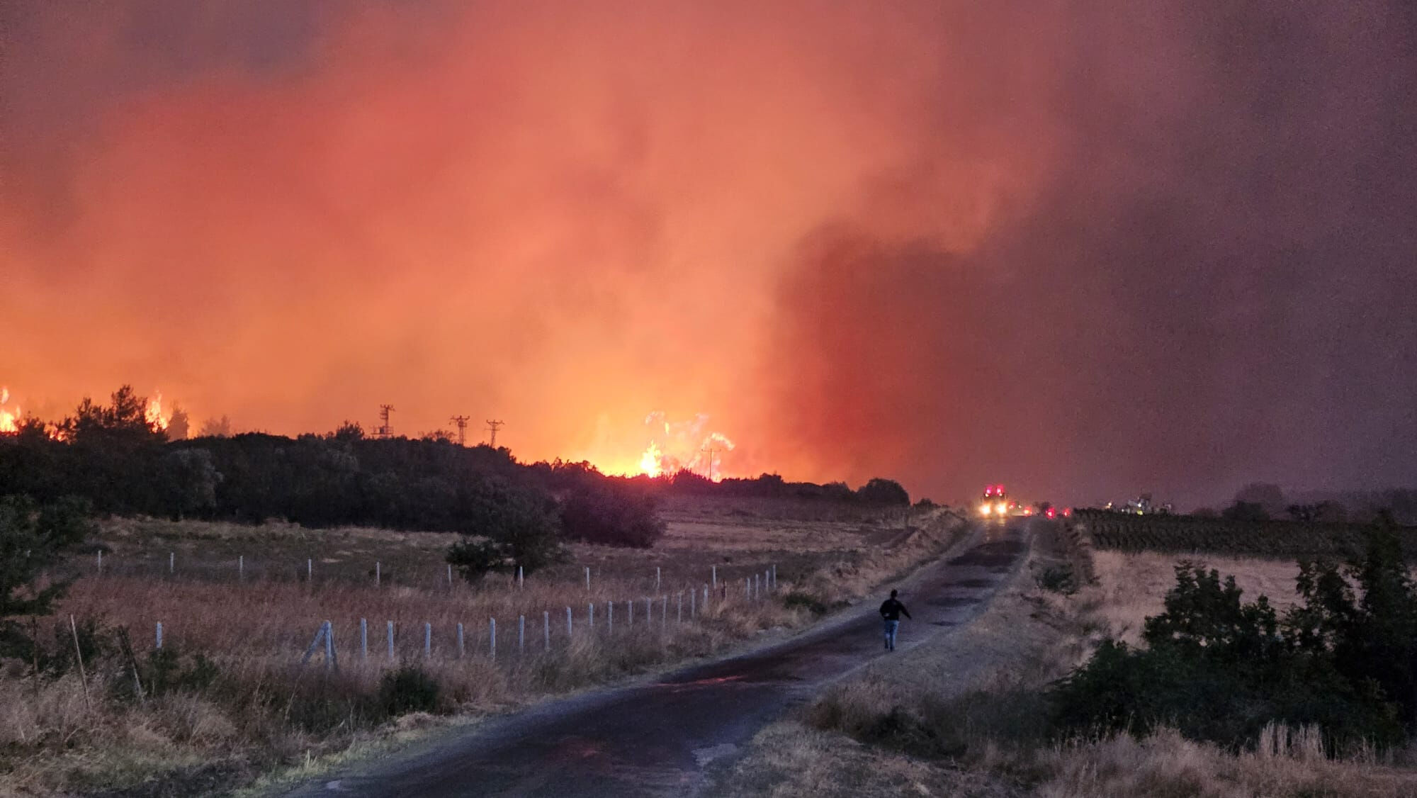 Tarihi yarımadada alevler yükseldi! Gelibolu'da orman yangınına müdahale ediliyor - 1. Resim