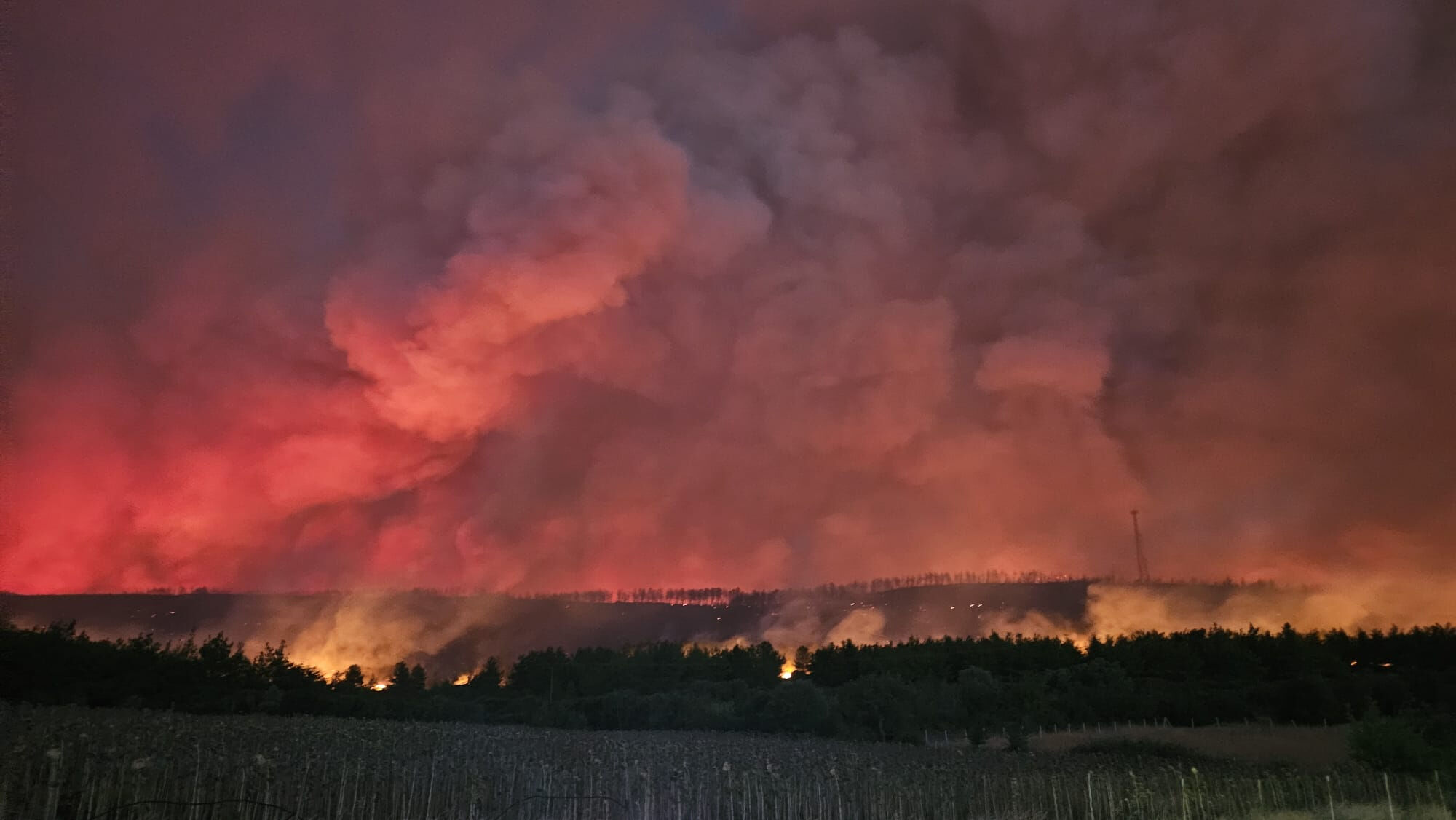 Tarihi yarımadada alevler yükseldi! Gelibolu'da orman yangınına müdahale ediliyor - 2. Resim