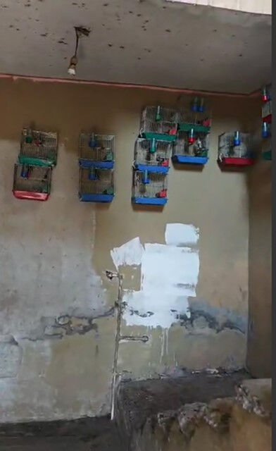 Yer: Adana! Evinden çıkanlar sonrası 151 bin lira ceza yedi - 1. Resim