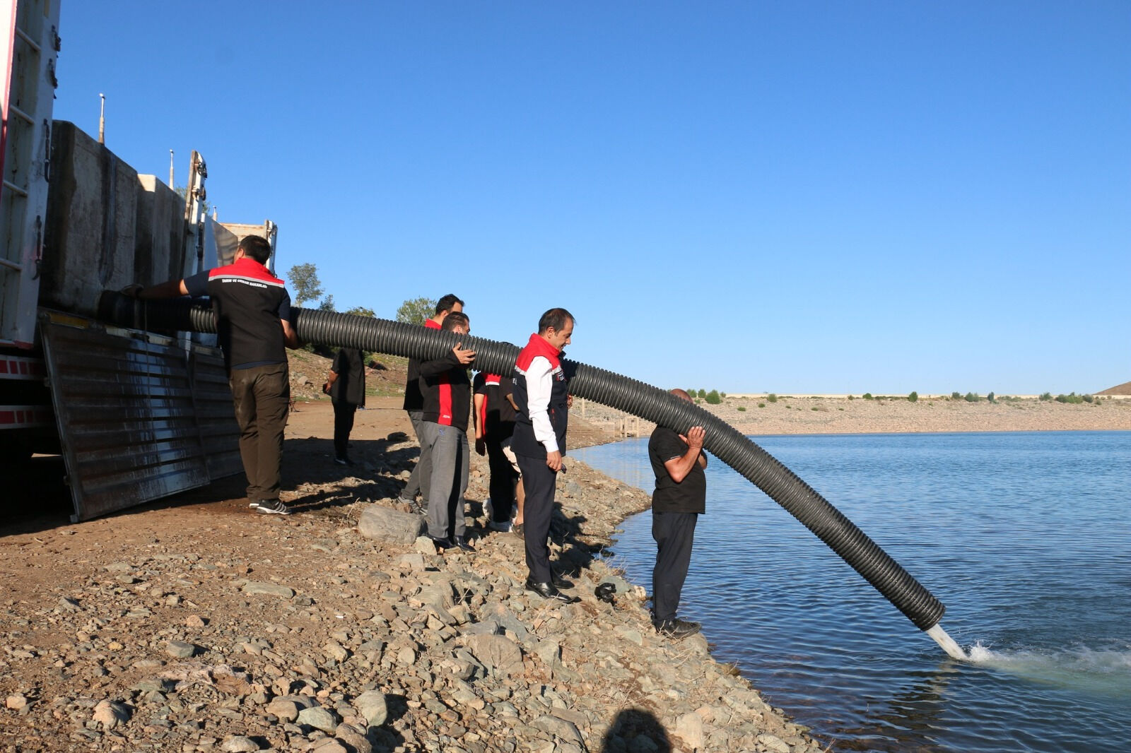 200 bin adet bırakıldı! Erzincan'da barajlara büyük takviye - 1. Resim