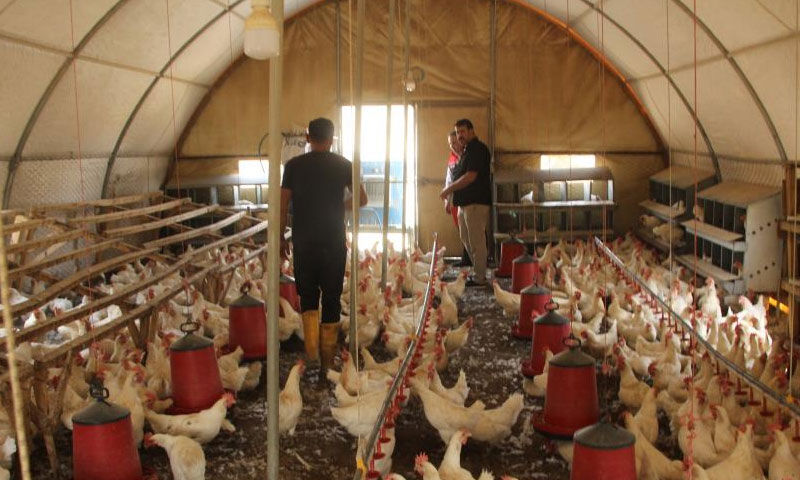 Atanamayınca yılmadı! 30'la başladı 700 oldu... Yeni işinde siparişlere yetişemiyor - 1. Resim