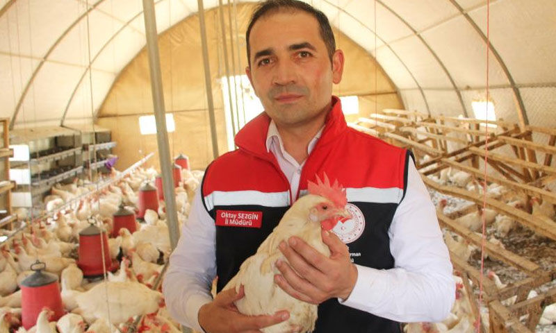 Atanamayınca yılmadı! 30'la başladı 700 oldu... Yeni işinde siparişlere yetişemiyor - 3. Resim