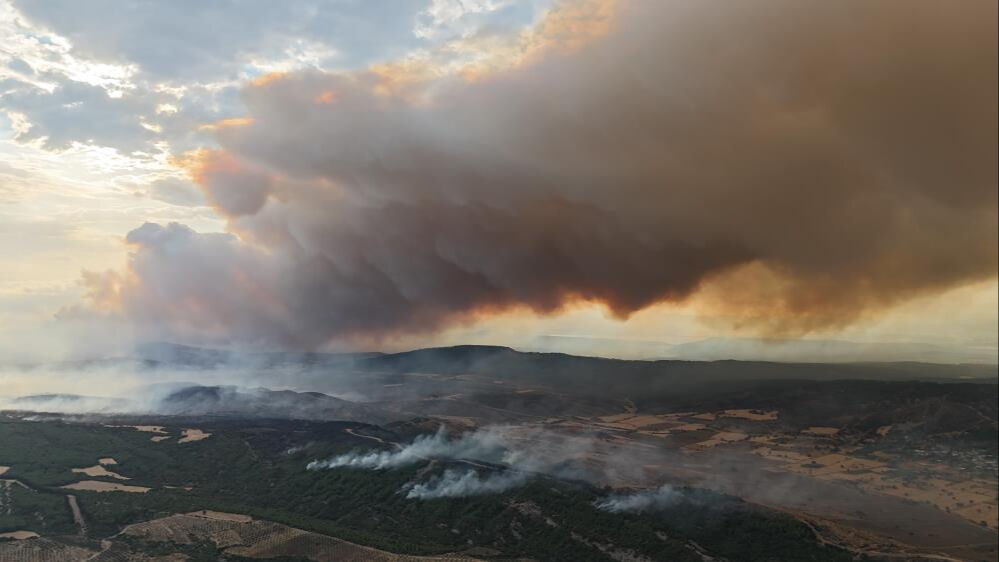 Çanakkale Gelibolu yangını 2. gününde! İşte dakika dakika tüm gelişmeler