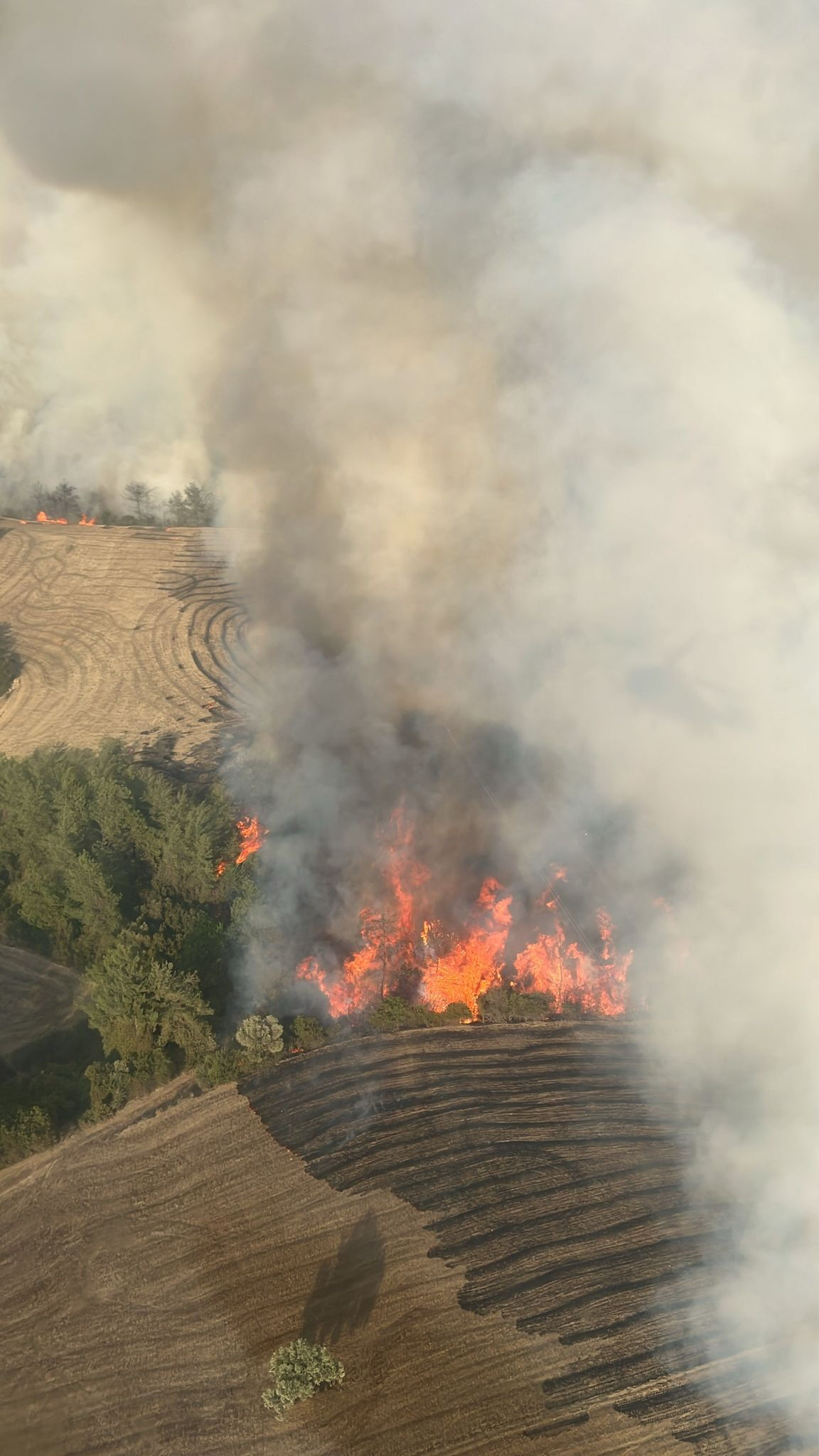 İmamoğlu'nda alevler yükseldi! Adana'da ormanlık alanda yangın çıktı - 2. Resim