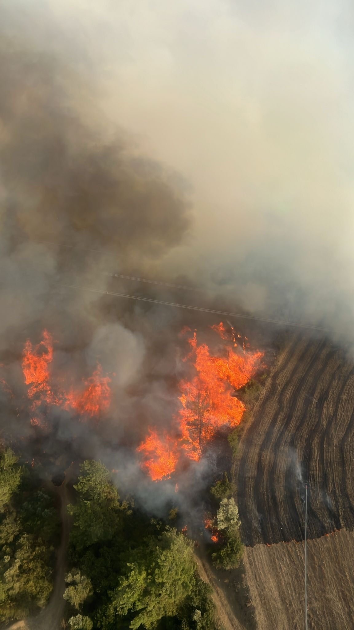 İmamoğlu'nda alevler yükseldi! Adana'da ormanlık alanda yangın çıktı - 1. Resim