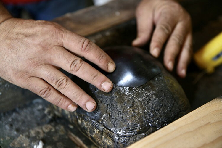 Muğla'da yürekleri ısıtan hareket! Ahşap ustası, kaplumbağanın kırık kabuğunu onardı - 2. Resim