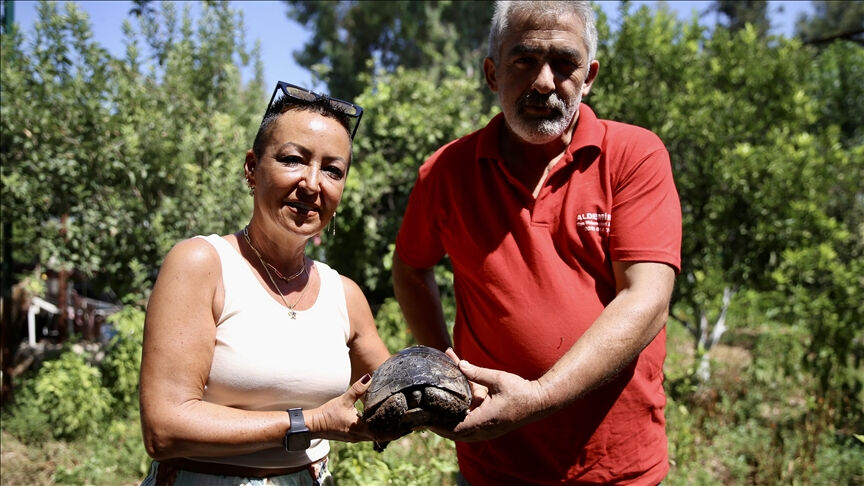 Muğla'da yürekleri ısıtan hareket! Ahşap ustası, kaplumbağanın kırık kabuğunu onardı - 4. Resim