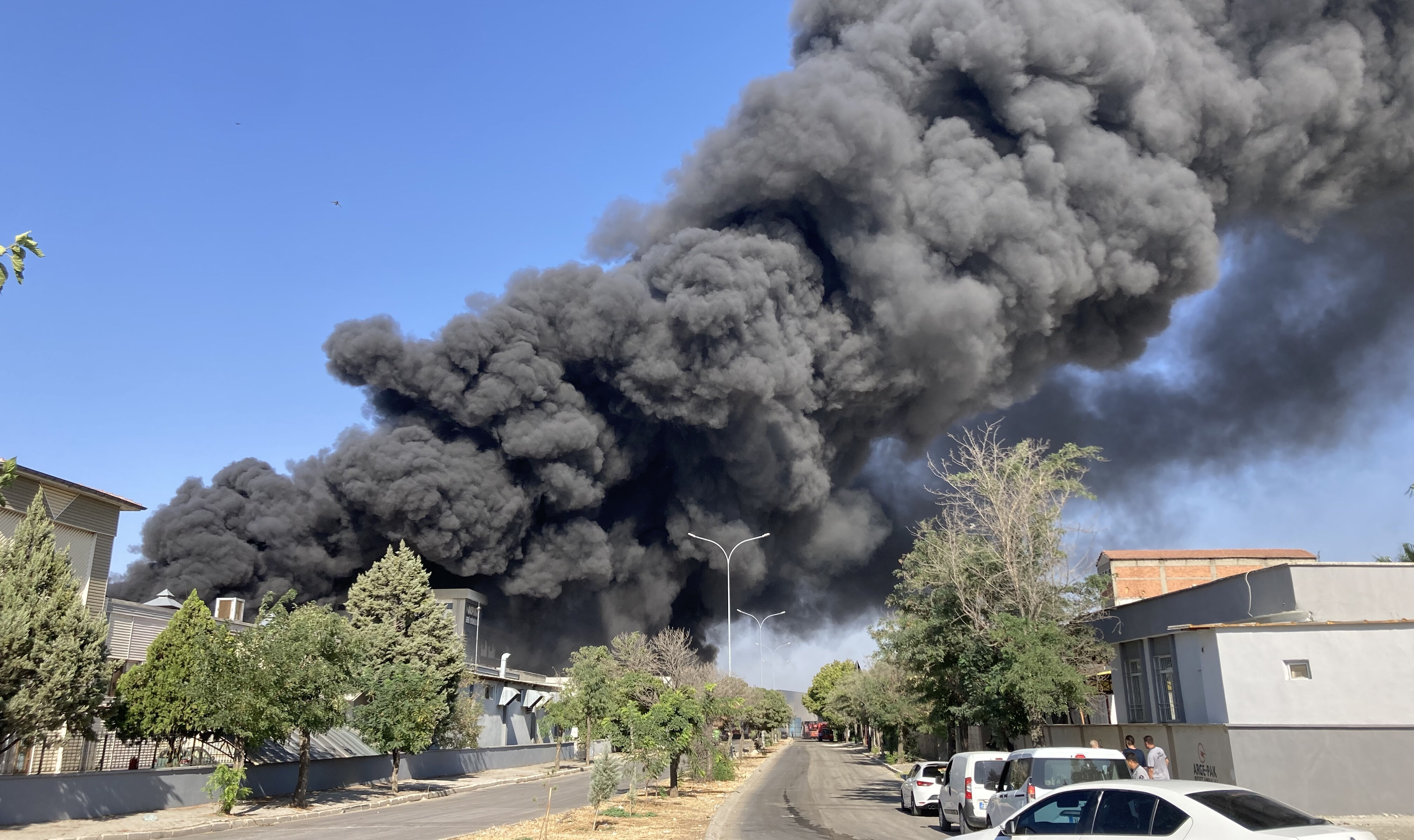 Orman yangınları son durum: Nerede yangın var, yangınlar söndü mü? - 1. Resim