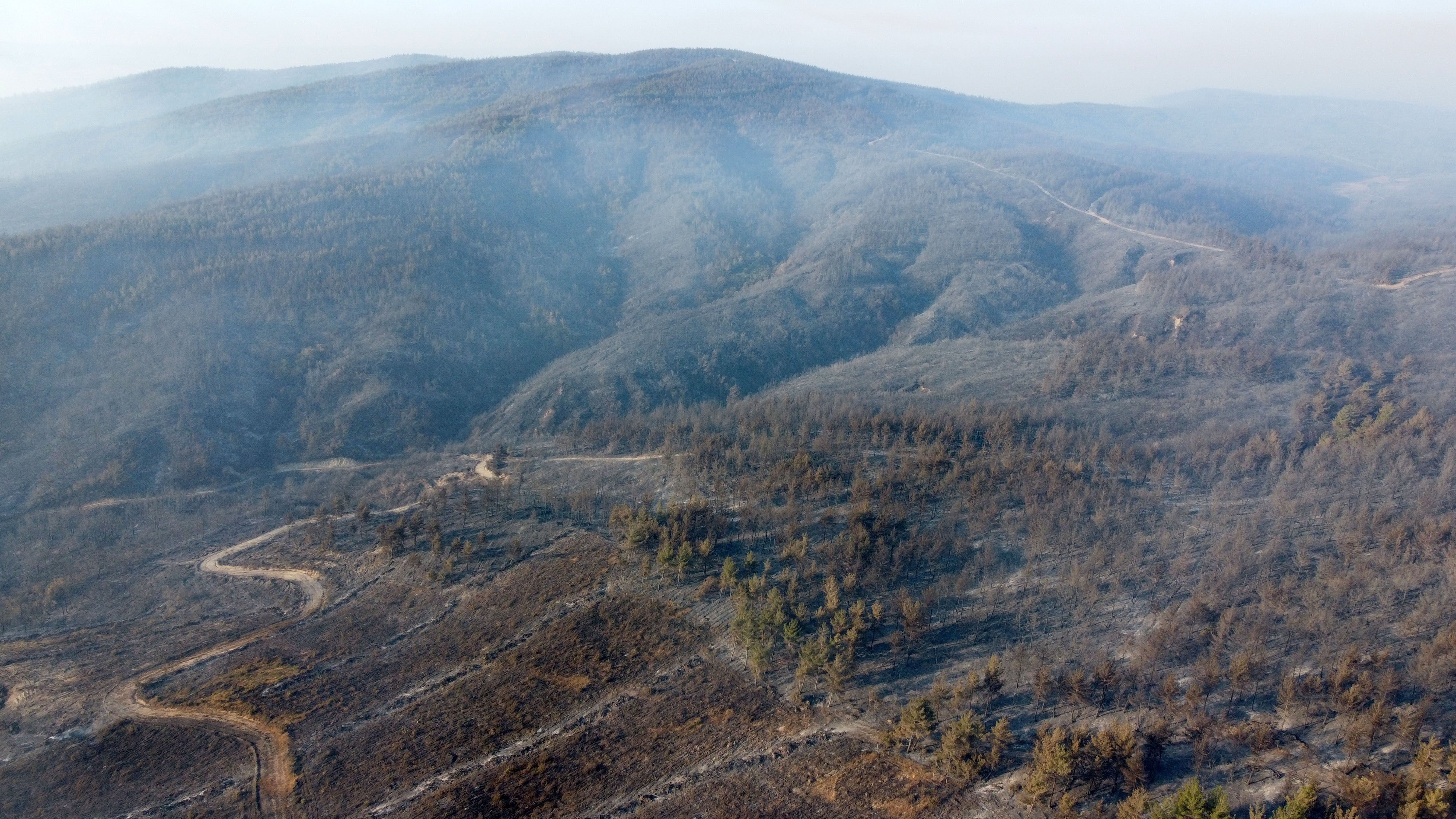Ciğerlerimiz böyle yandı! Gelibolu yangınında hasar ortaya çıktı, bir detay şoke etti - 2. Resim