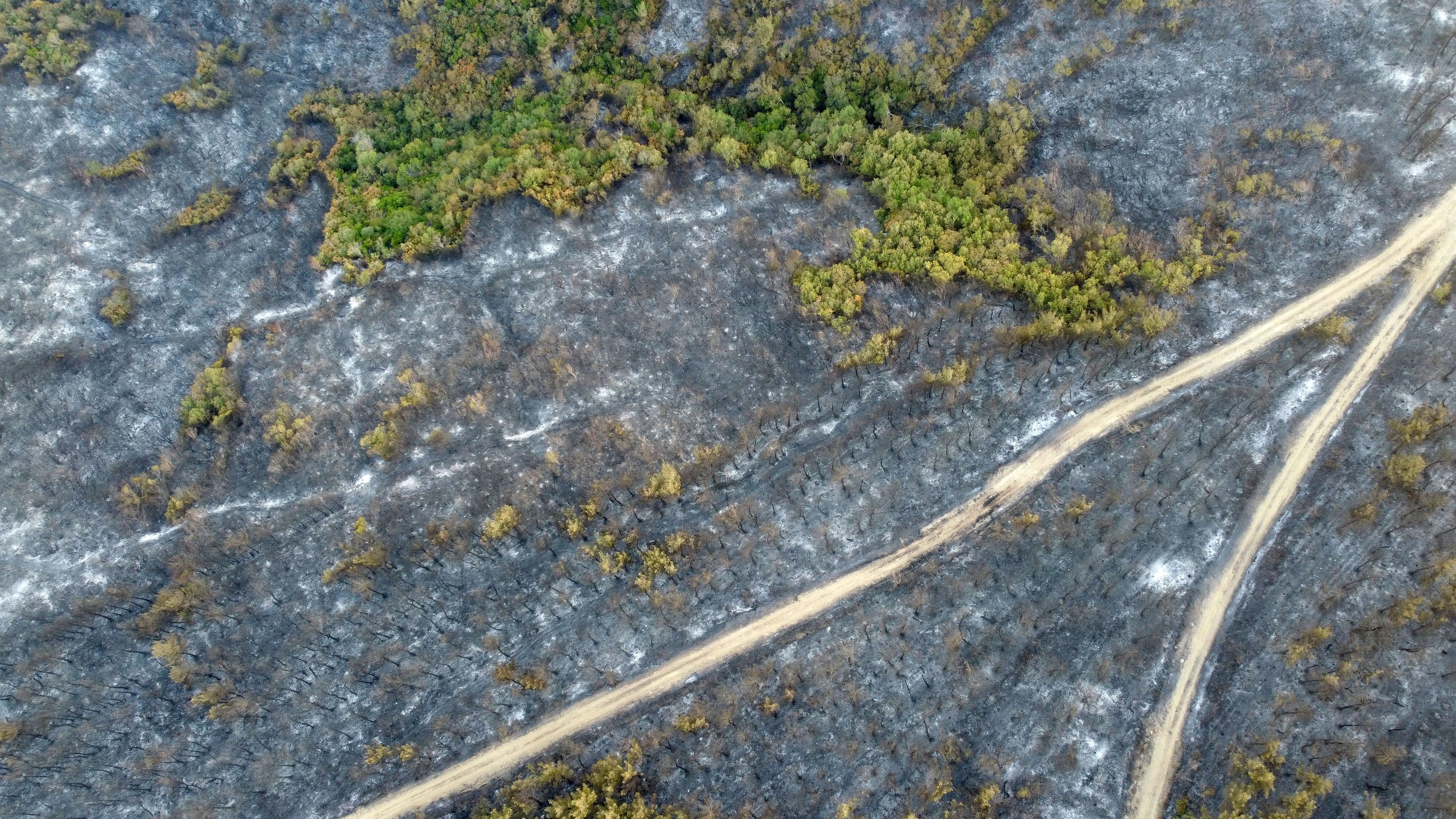 Ciğerlerimiz böyle yandı! Gelibolu yangınında hasar ortaya çıktı, bir detay şoke etti - 4. Resim