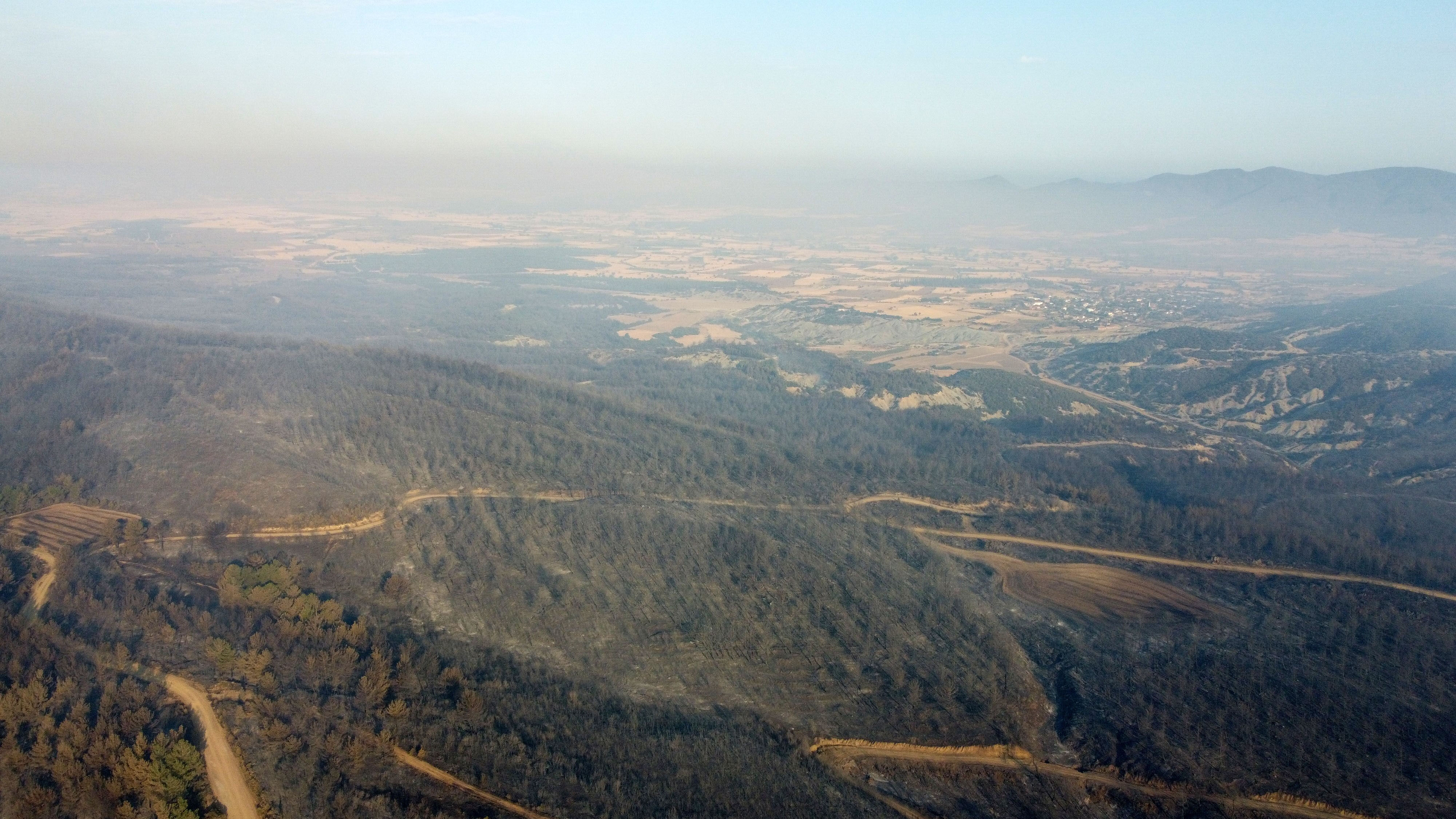 Ciğerlerimiz böyle yandı! Gelibolu yangınında hasar ortaya çıktı, bir detay şoke etti - 1. Resim