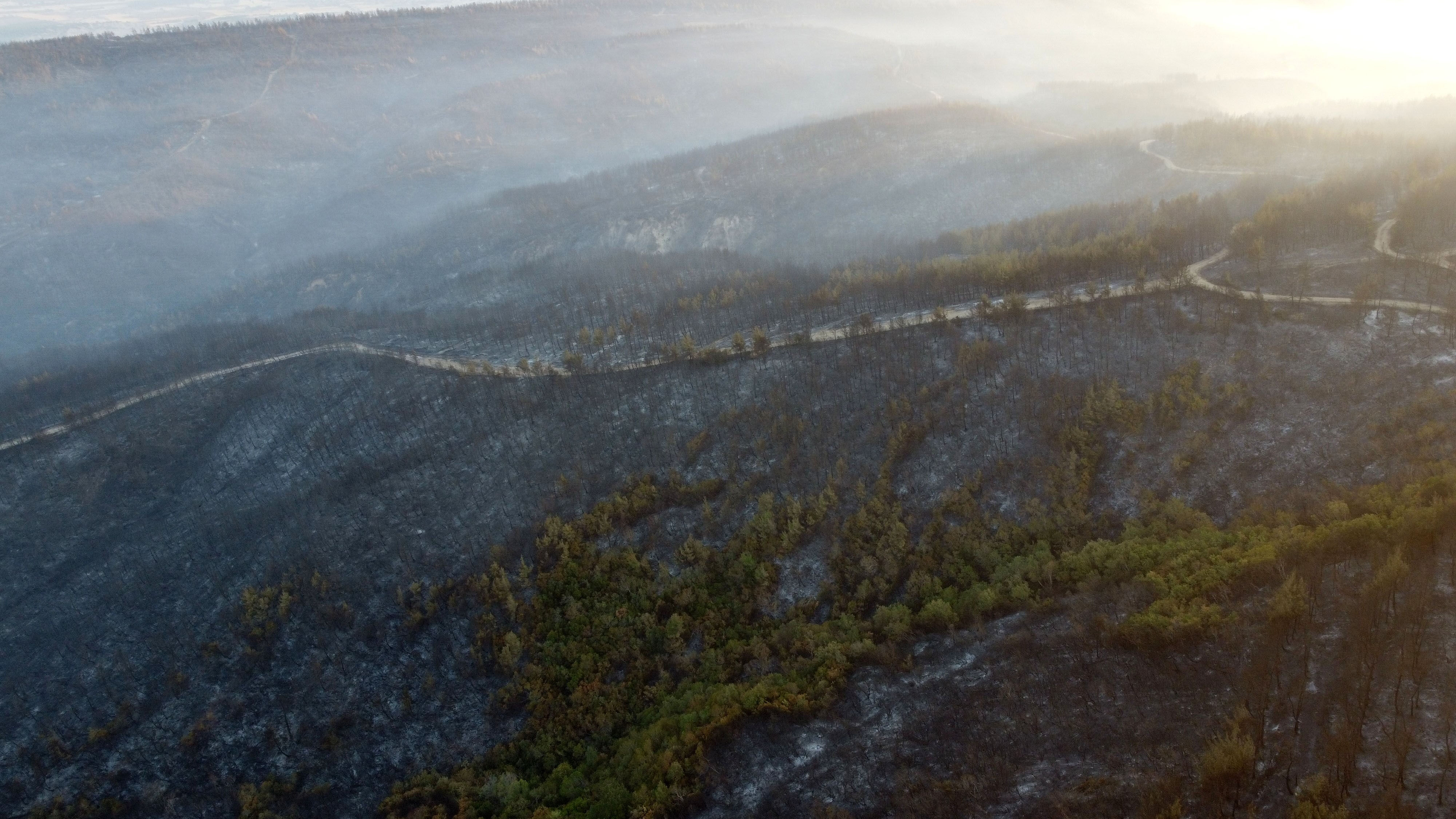 Ciğerlerimiz böyle yandı! Gelibolu yangınında hasar ortaya çıktı, bir detay şoke etti - 3. Resim