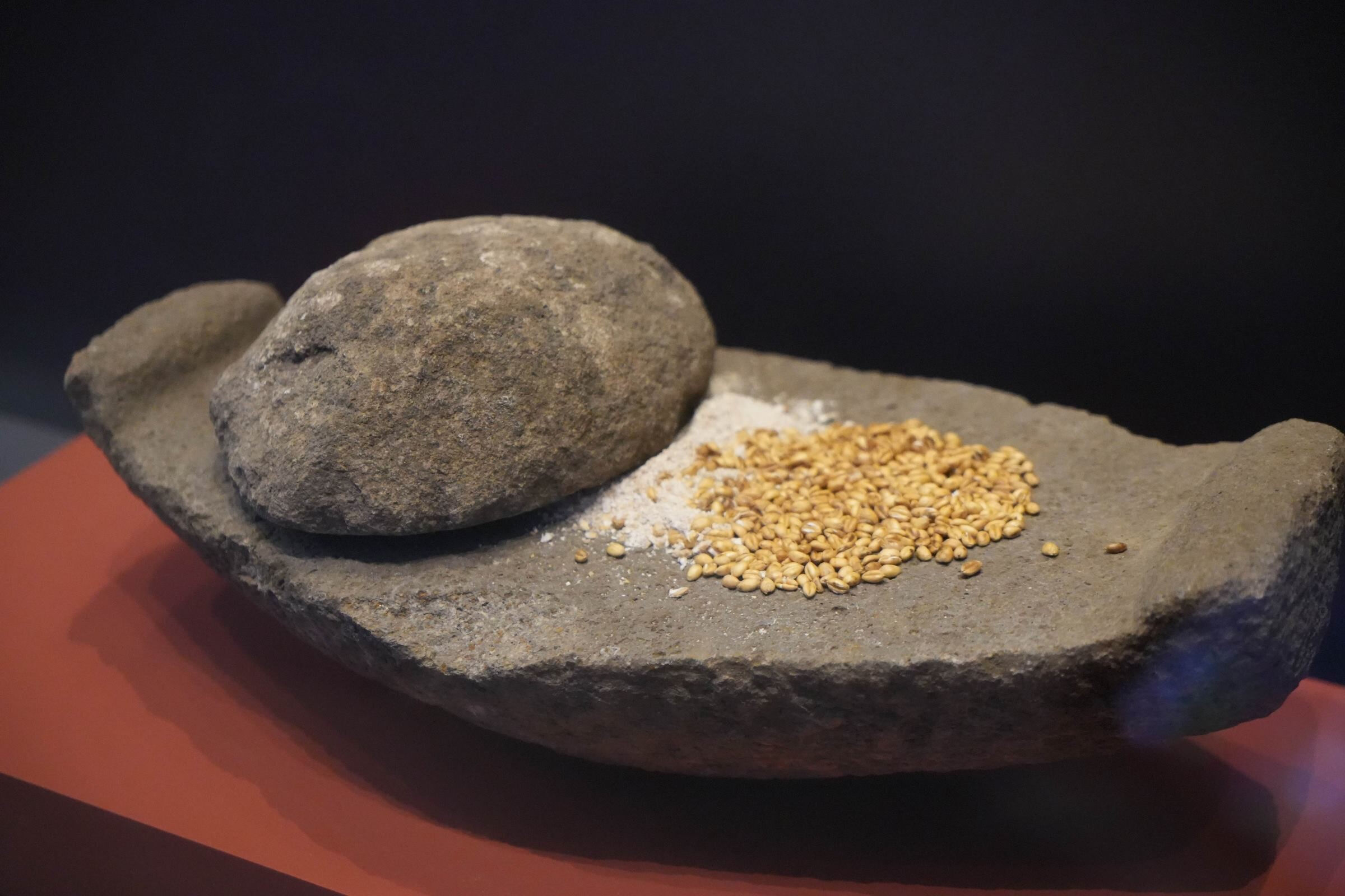 En eski fındık burada bulundu! Bu Hitit keşifleri dünyada sayılı... Alman profesör tek tek anlattı - 7. Resim