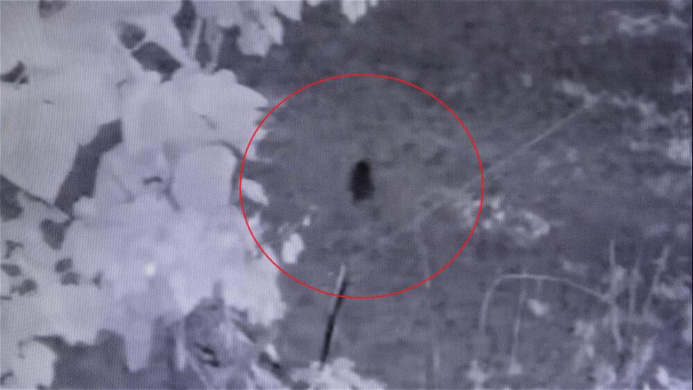 Fındıkları çalındı sandı! Gerçek bambaşka çıktı: Seneye daha fazla önlem alacağız - 3. Resim