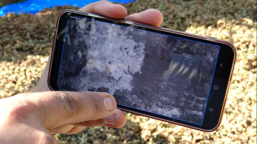 Fındıkları çalındı sandı! Gerçek bambaşka çıktı: Seneye daha fazla önlem alacağız - 1. Resim