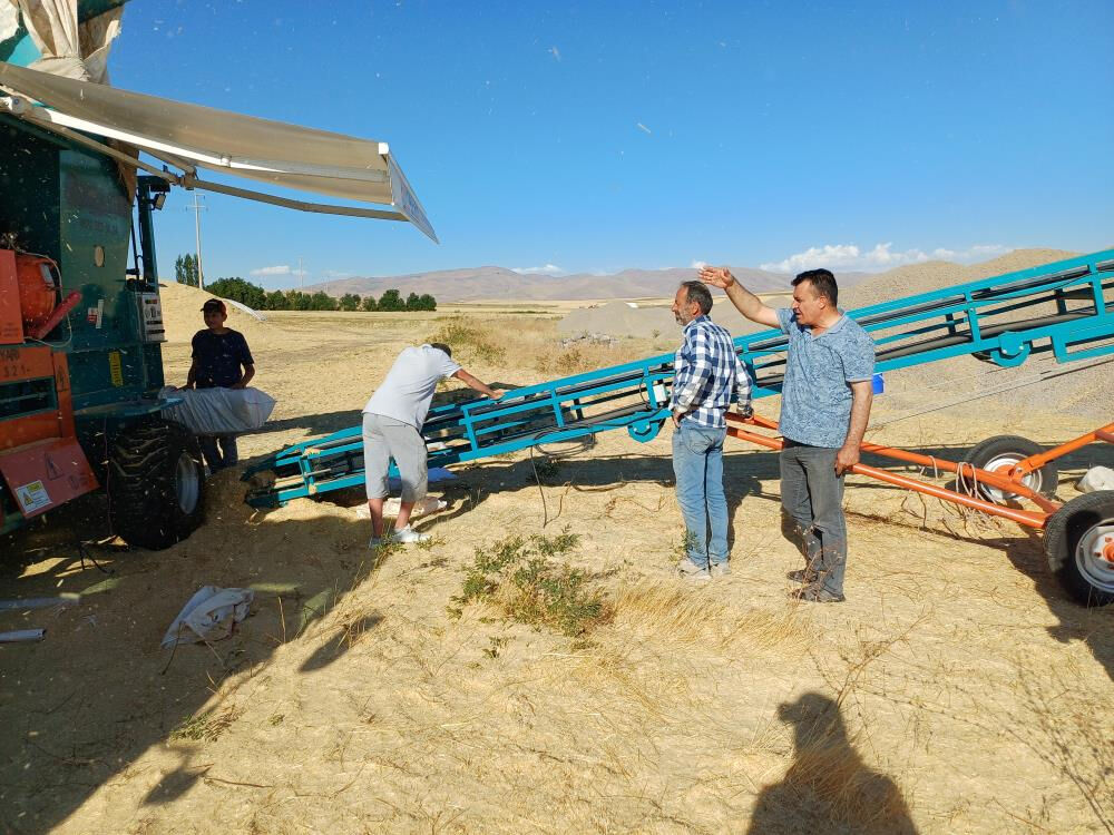 Geçtiğimiz yıl tarlada çürümüştü! Bu yıl çiftçinin cebini doldurdu... Tonu 2 bin lira - 3. Resim