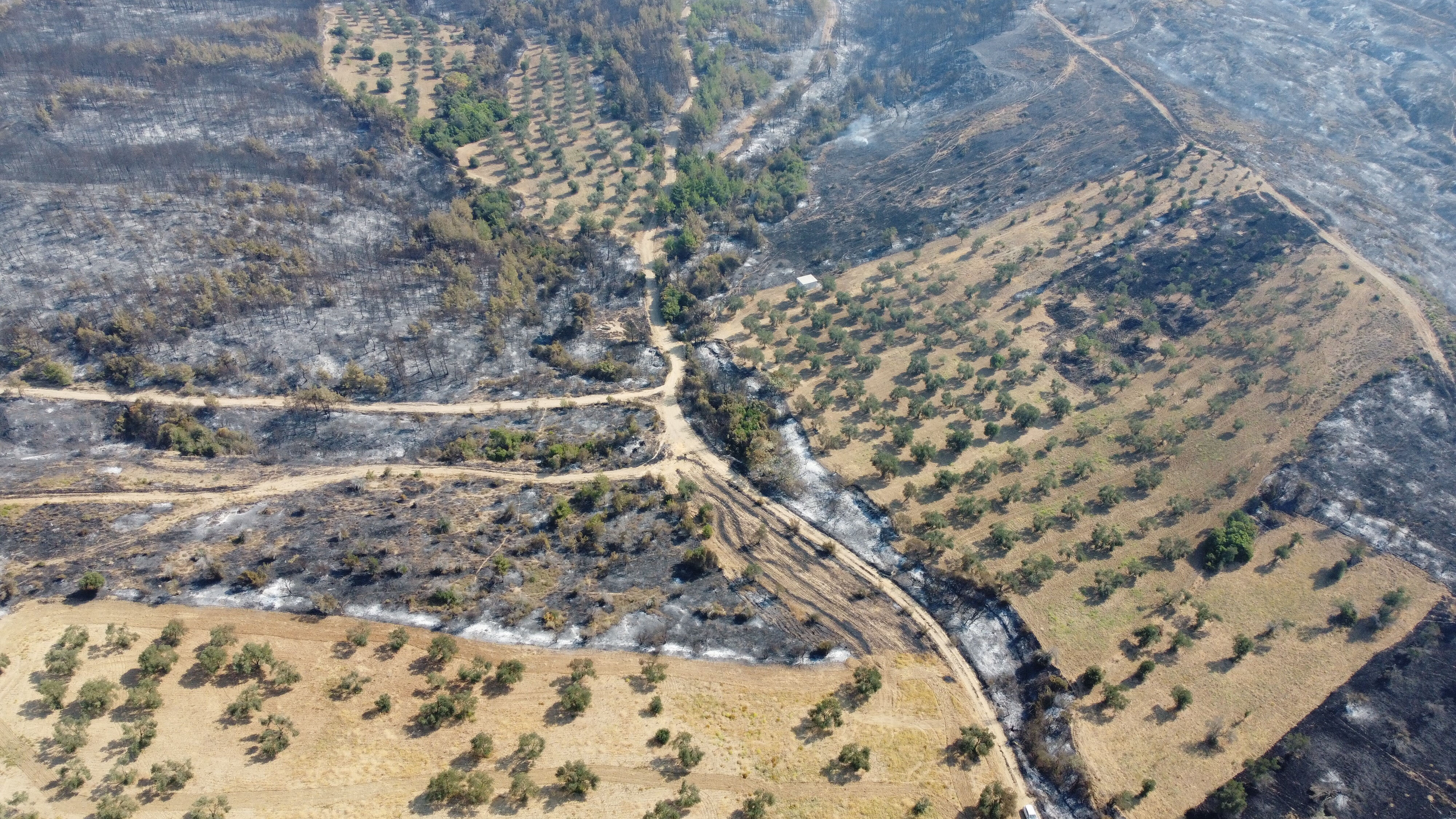 Her yer yandı sadece onun tarlası kurtuldu! Nedenini tek cümleyle anlattı - 3. Resim