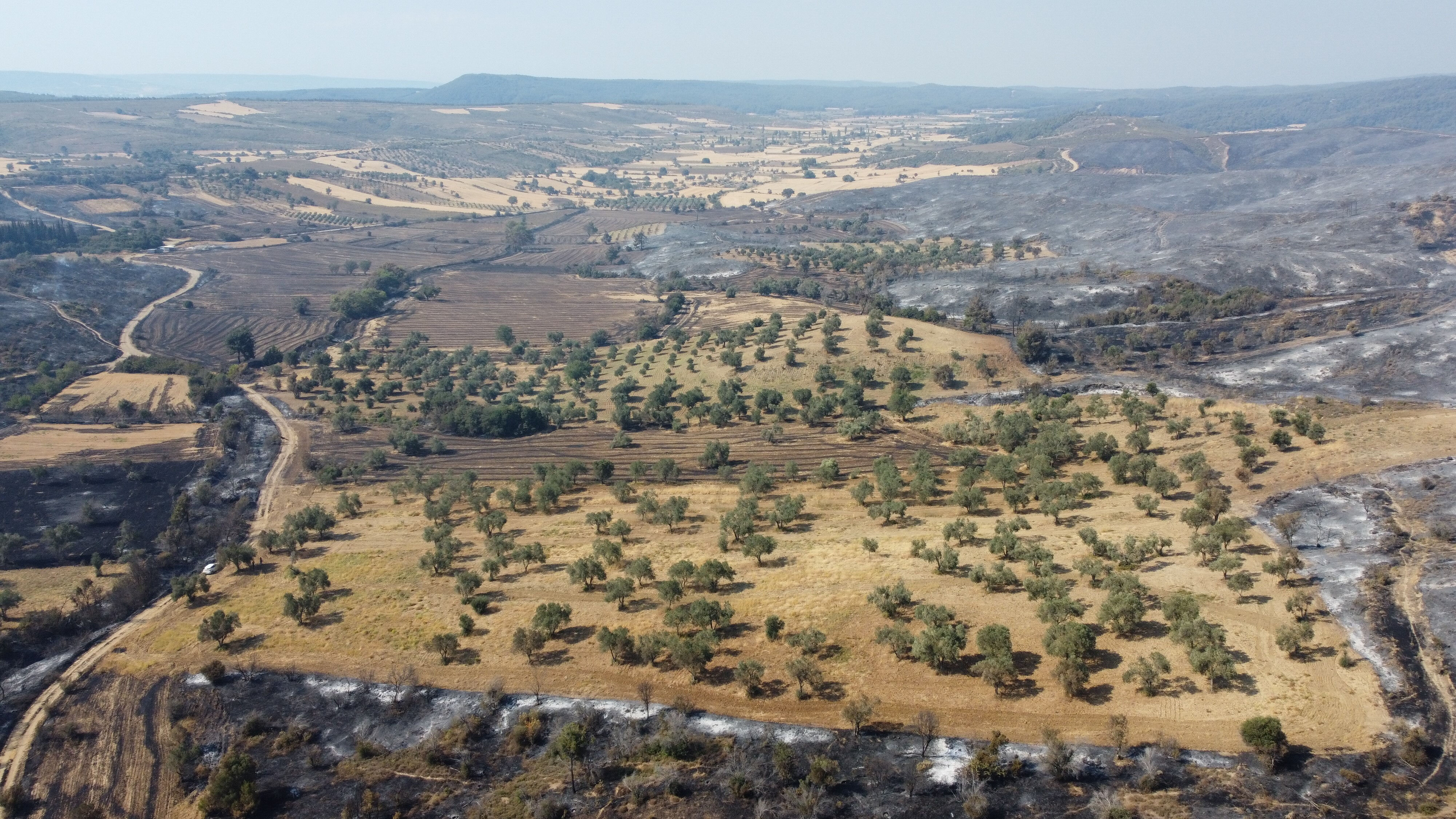 Her yer yandı sadece onun tarlası kurtuldu! Nedenini tek cümleyle anlattı - 2. Resim