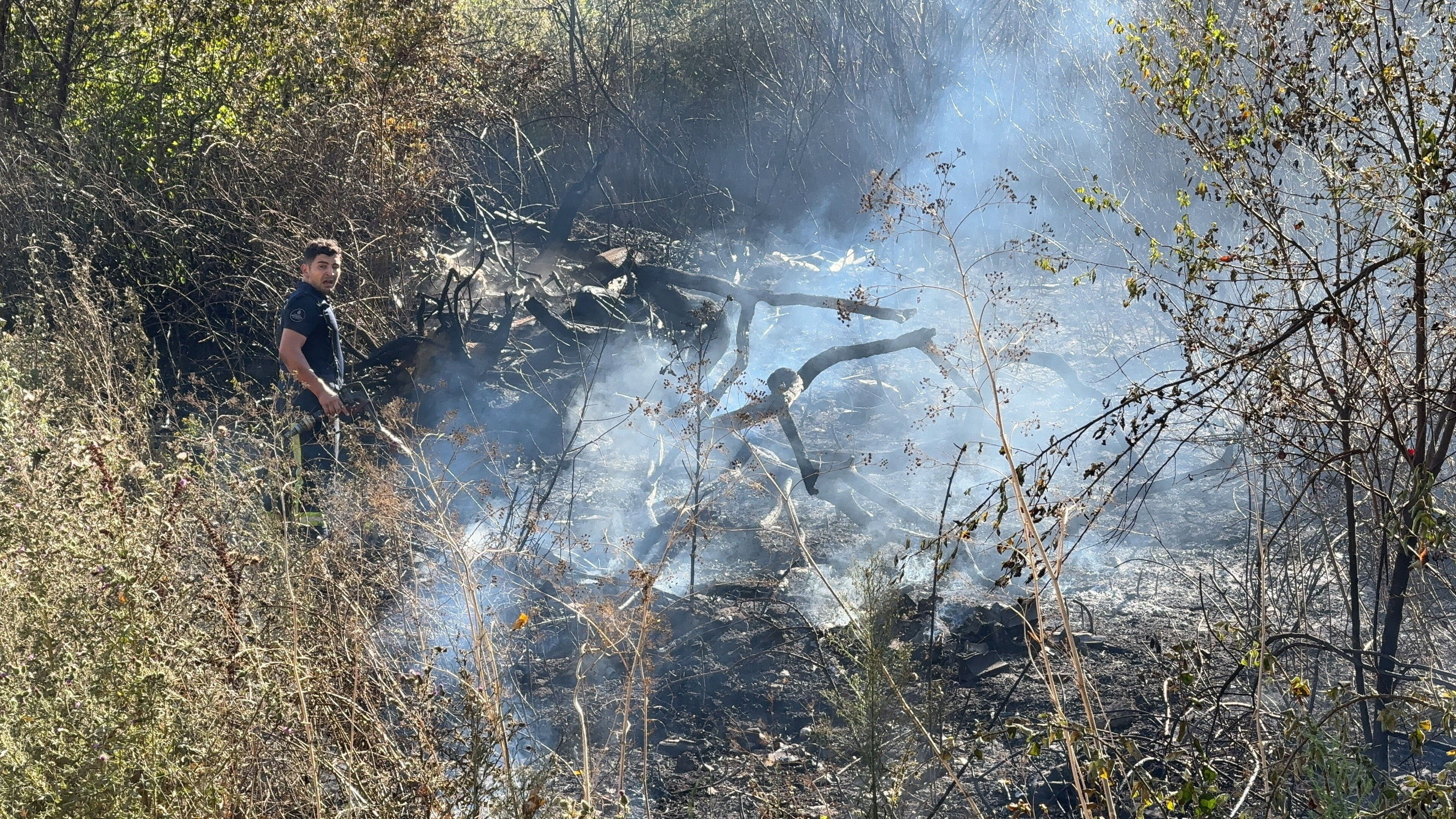 İstanbul'da yeşil alanda yangın sabotajı! Alevleri söndürmeye çalışan itfaiyecilere saldırdı - 1. Resim