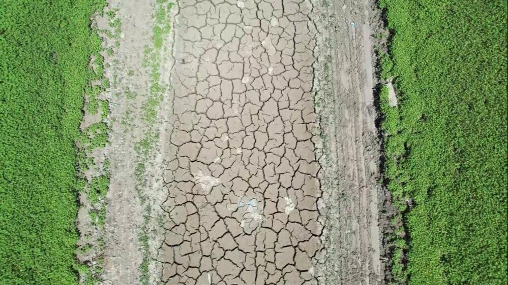 Kuraklık bunu da gördürdü! Eski kara yolu ortaya çıktı - 4. Resim