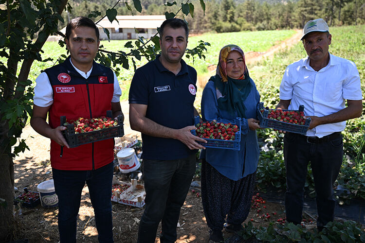 Öyle bir şey ektiler ki şehirden giden döndü! Çevre illerden göç eden bile var - 2. Resim