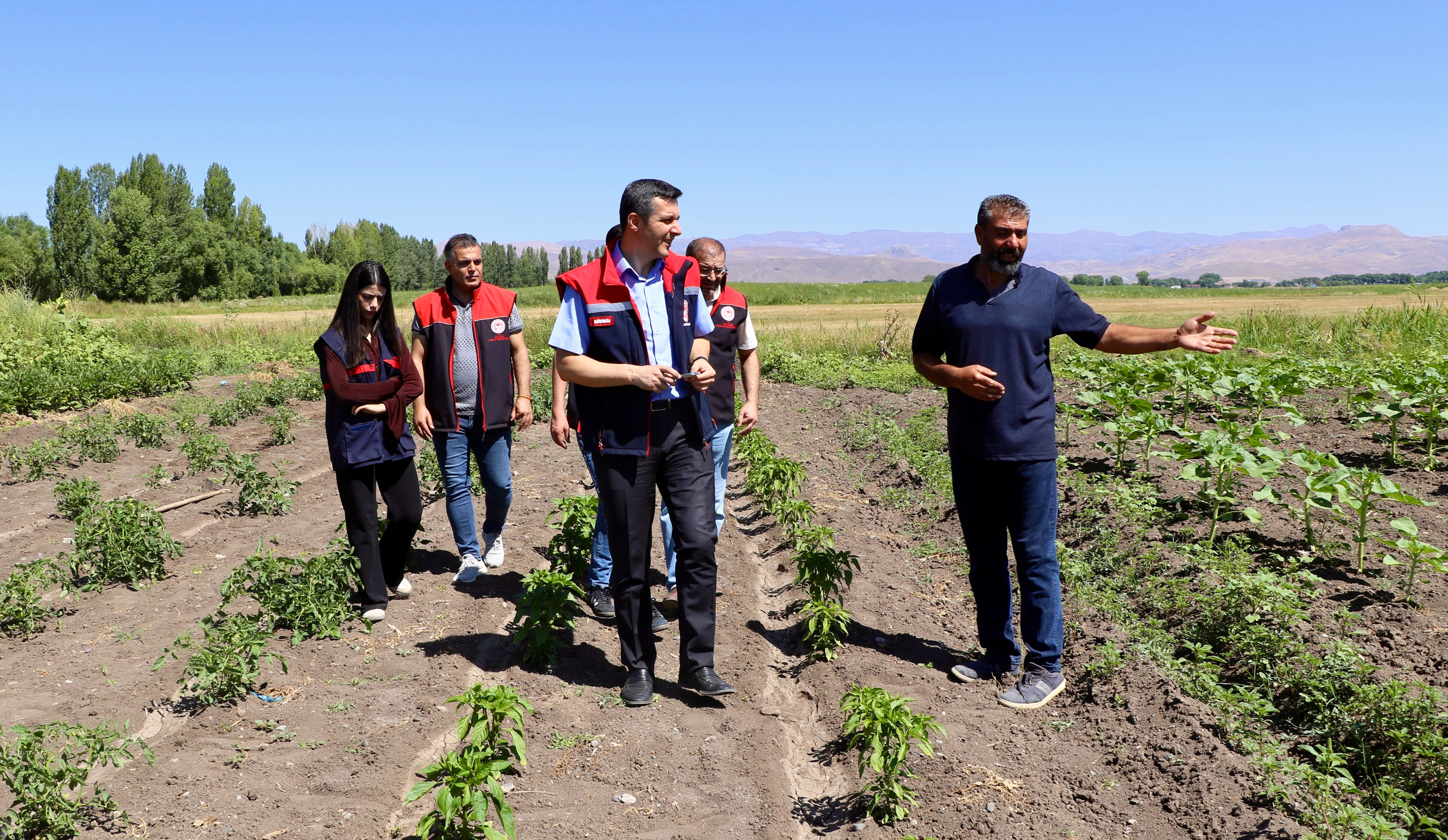 Sebze, meyve, tahıl... Bu bostan diğerlerinden daha farklı! Vatandaş daha ucuza satın alacak - 2. Resim