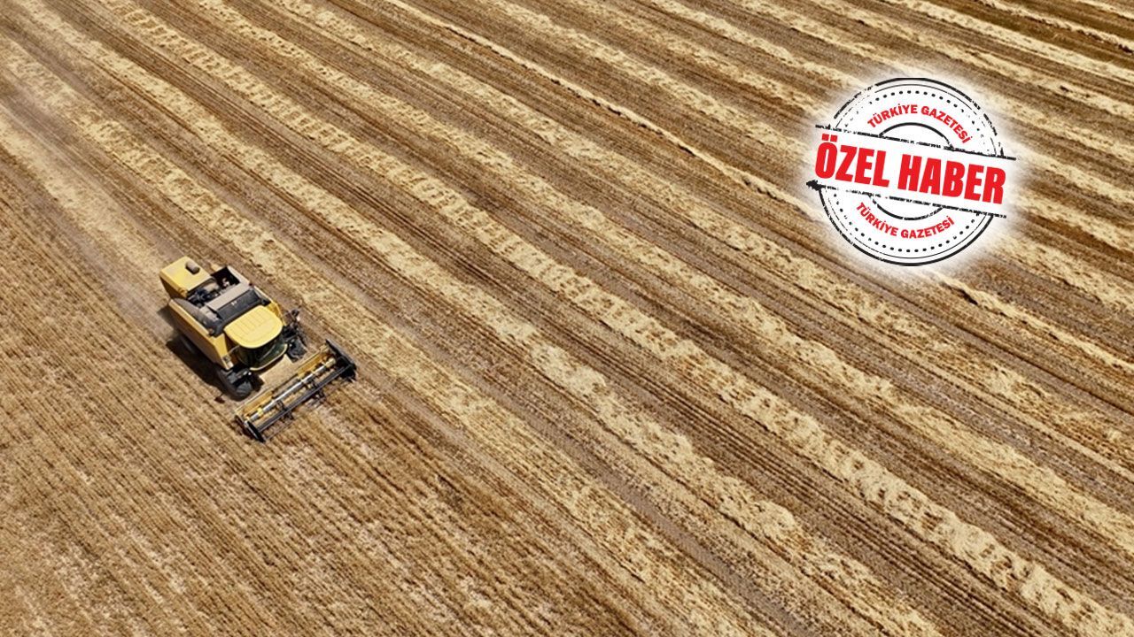 Tarım sayım seferberliğine çiftçilerin ilgisi yoğun! 450 binin üzerinde üretici kayıt altında Tarım sayım seferberliğine çiftçilerin ilgisi yoğun! 450 binin üzerinde üretici kayıt altında