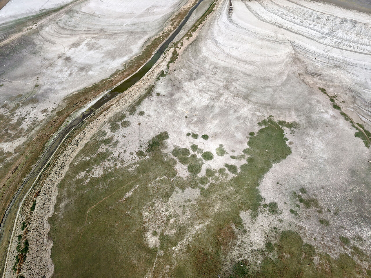 Artık balıklar değil, inekler besleniyor! Ünlü Ladik Göl'ünde acı manzara: Kuraklık yüzünden can çekişiyor - 4. Resim