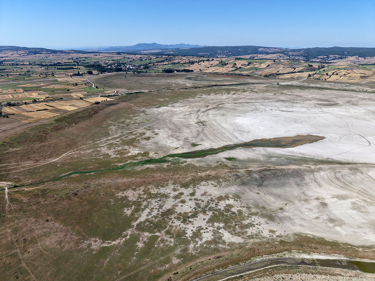 Artık balıklar değil, inekler besleniyor! Ünlü Ladik Göl'ünde acı manzara: Kuraklık yüzünden can çekişiyor - 7. Resim