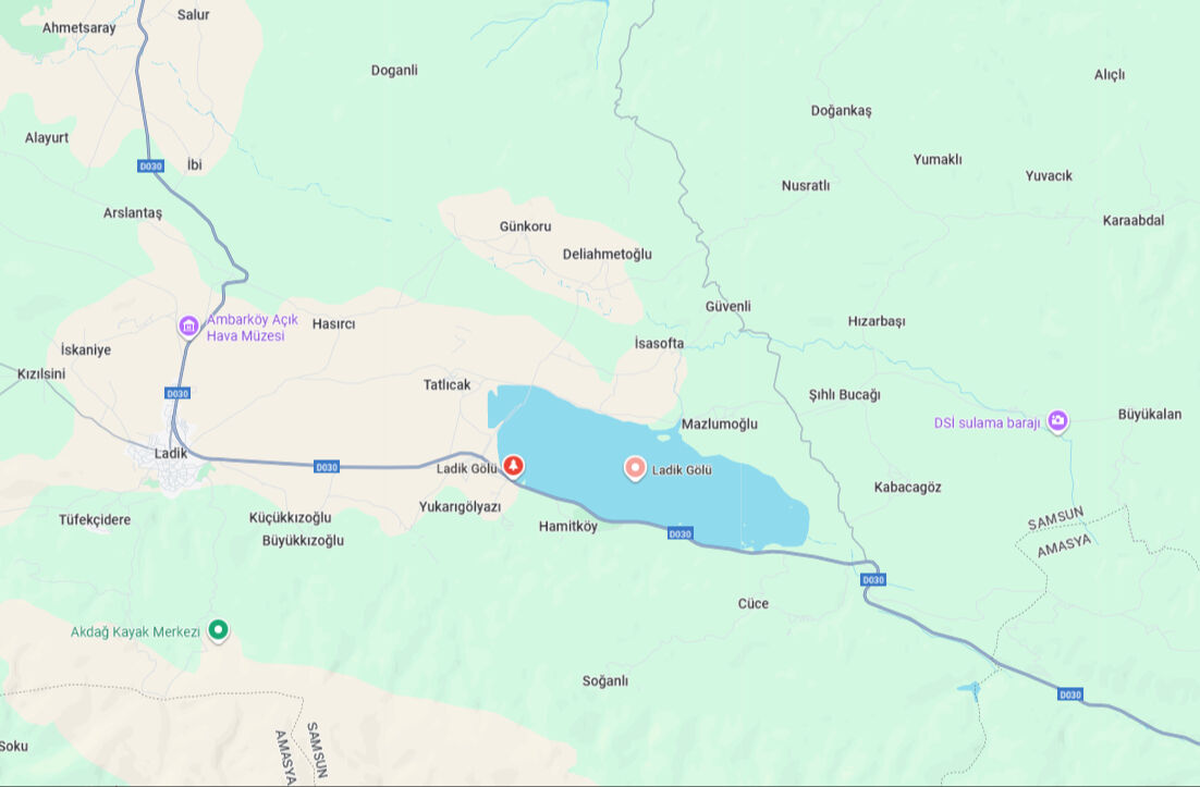 Artık balıklar değil, inekler besleniyor! Ünlü Ladik Göl'ünde acı manzara: Kuraklık yüzünden can çekişiyor - 2. Resim