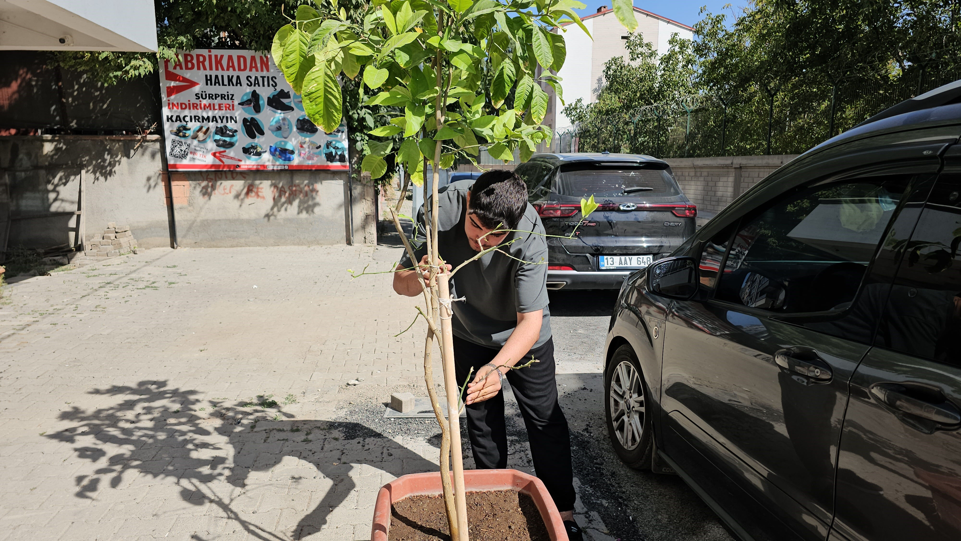 Bitlis'teki ilginç olay kamerada: Hepsi tek tek denedi başaramadı, o direnip kaçtı! - 1. Resim