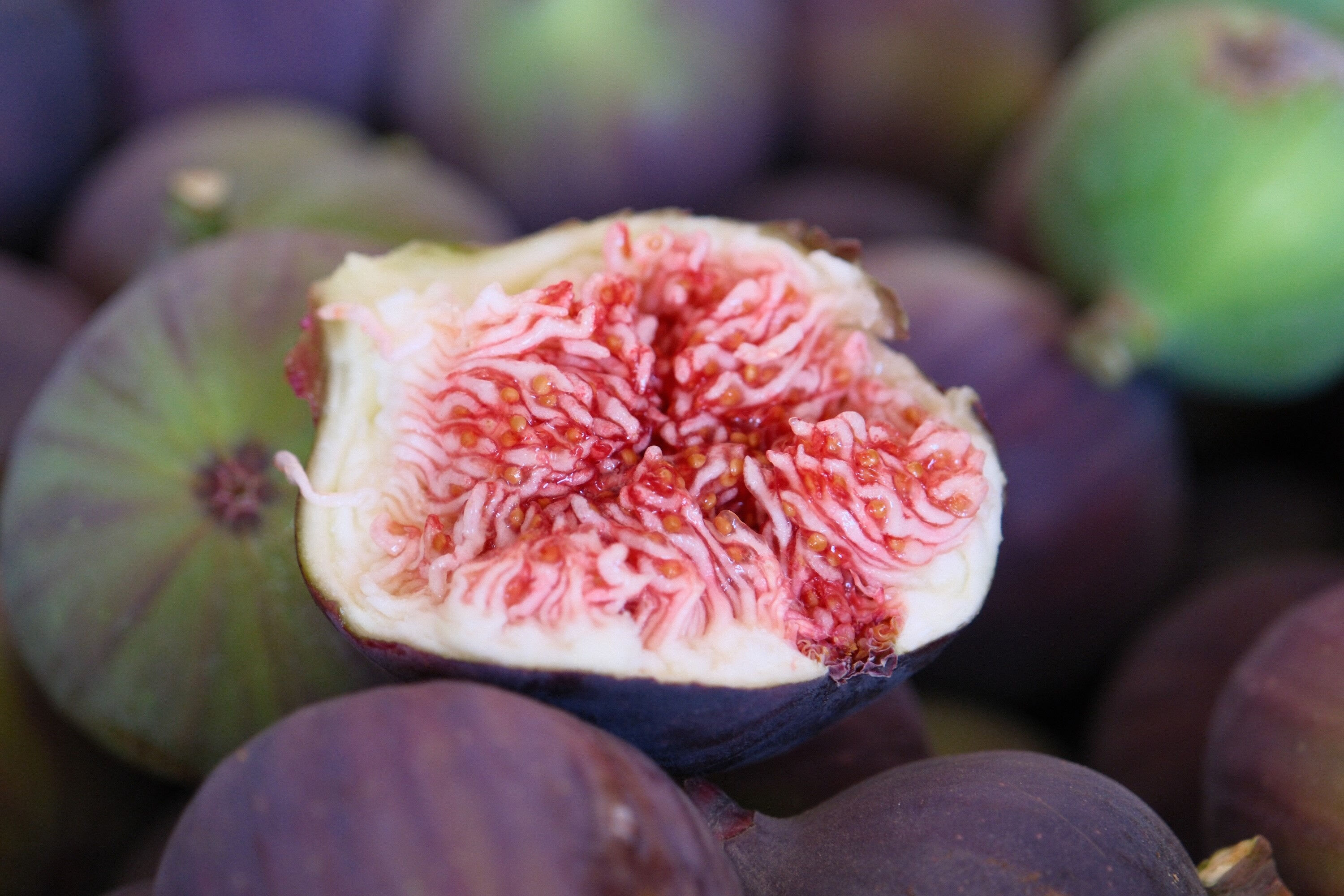 D&uuml;nyada sadece Bursa'da &uuml;retiliyor, 32 &uuml;lkeye ihra&ccedil; ediliyor! Tarlada kilosu 150 lira - 4. Resim