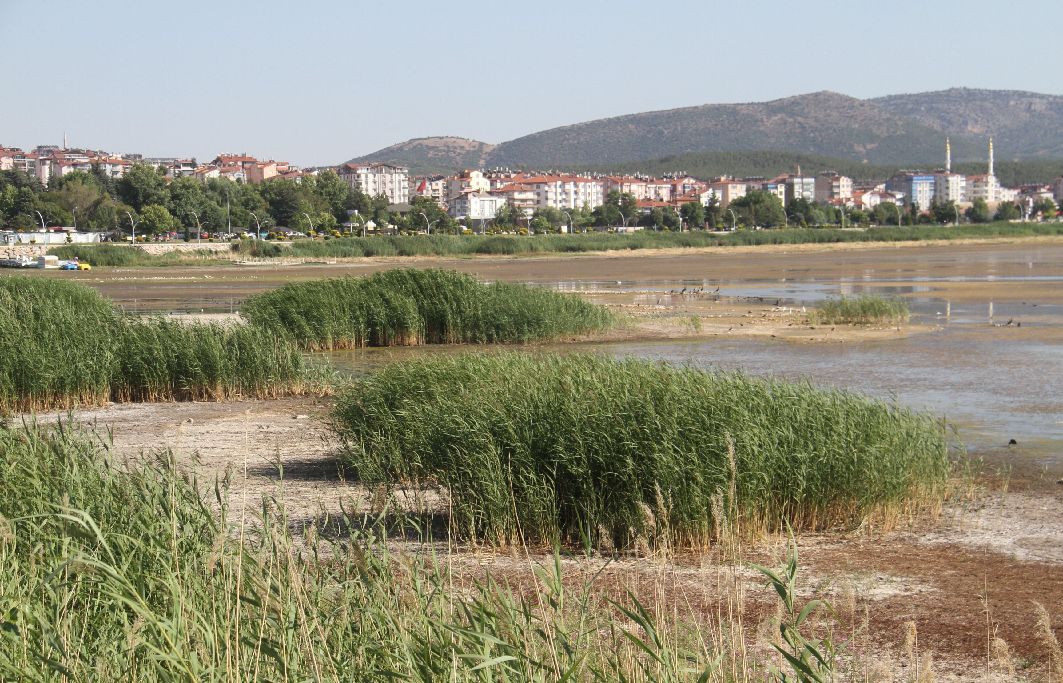 En düşük seviyeye ulaştı! Türkiye'nin ünlü tatlı su gölünde vahim tablo - 5. Resim