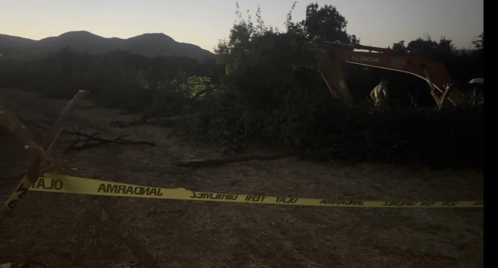 Erzincan'da feci olay! Devrilen ağacın altında kalan yaşlı adam öldü - 2. Resim