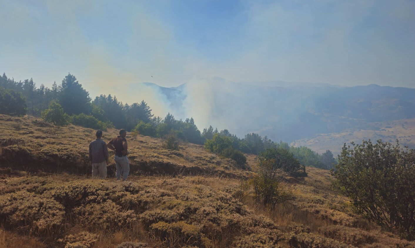 Gümüşhane'de çobanın yaktığı ateş ormanı kül etti! Ekipler 7 saatte söndürebildi - 1. Resim